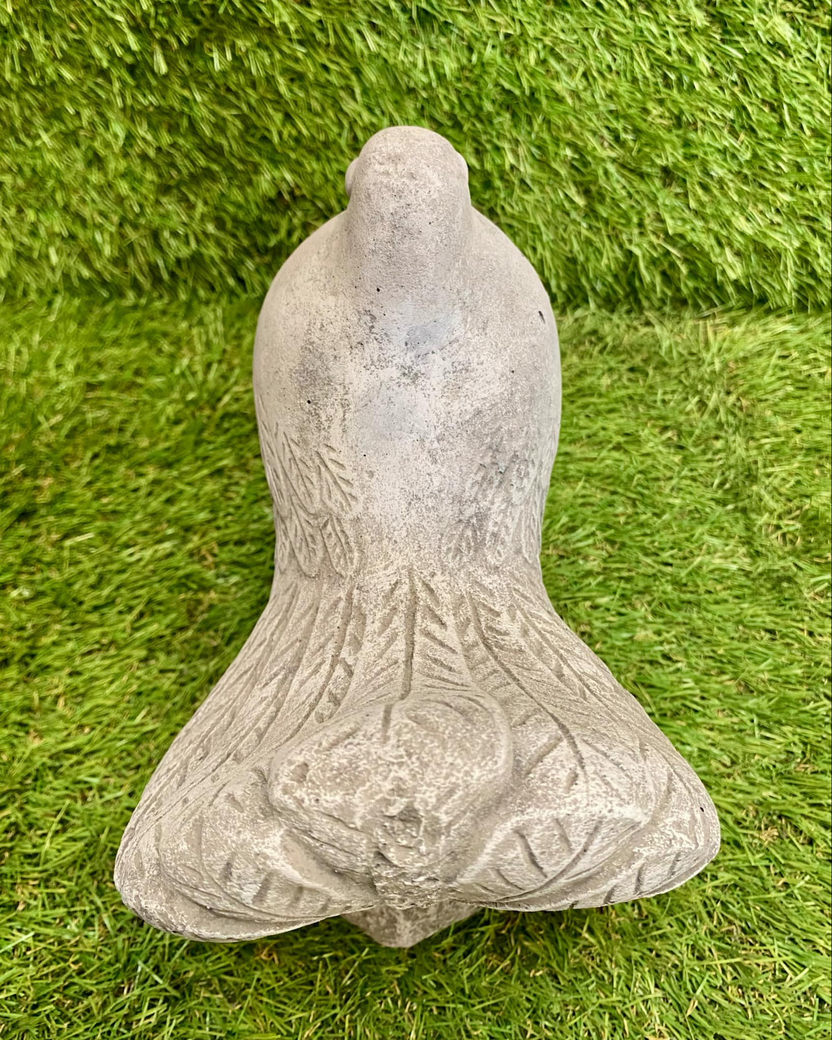 Dove