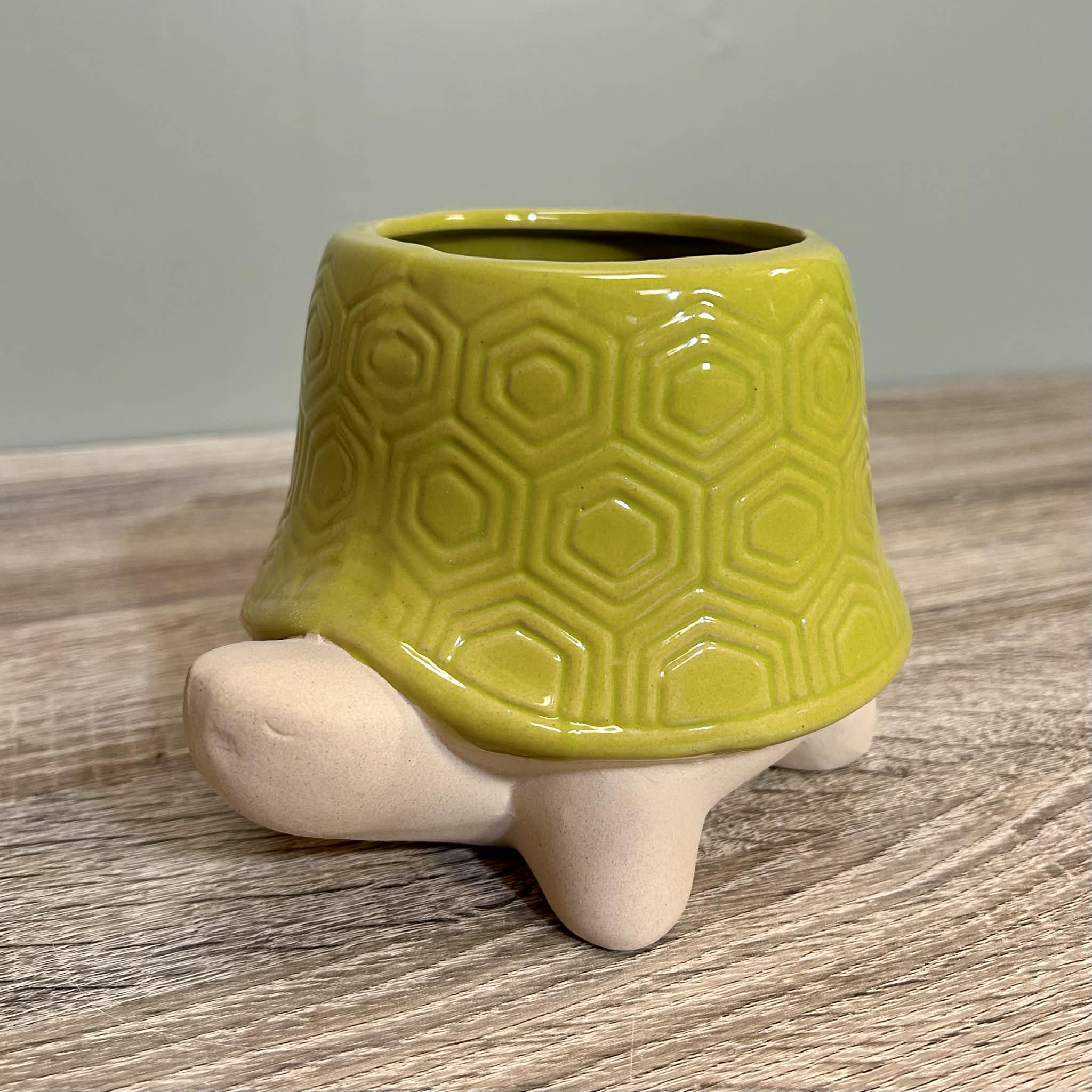 Ceramic Tortoise Planter