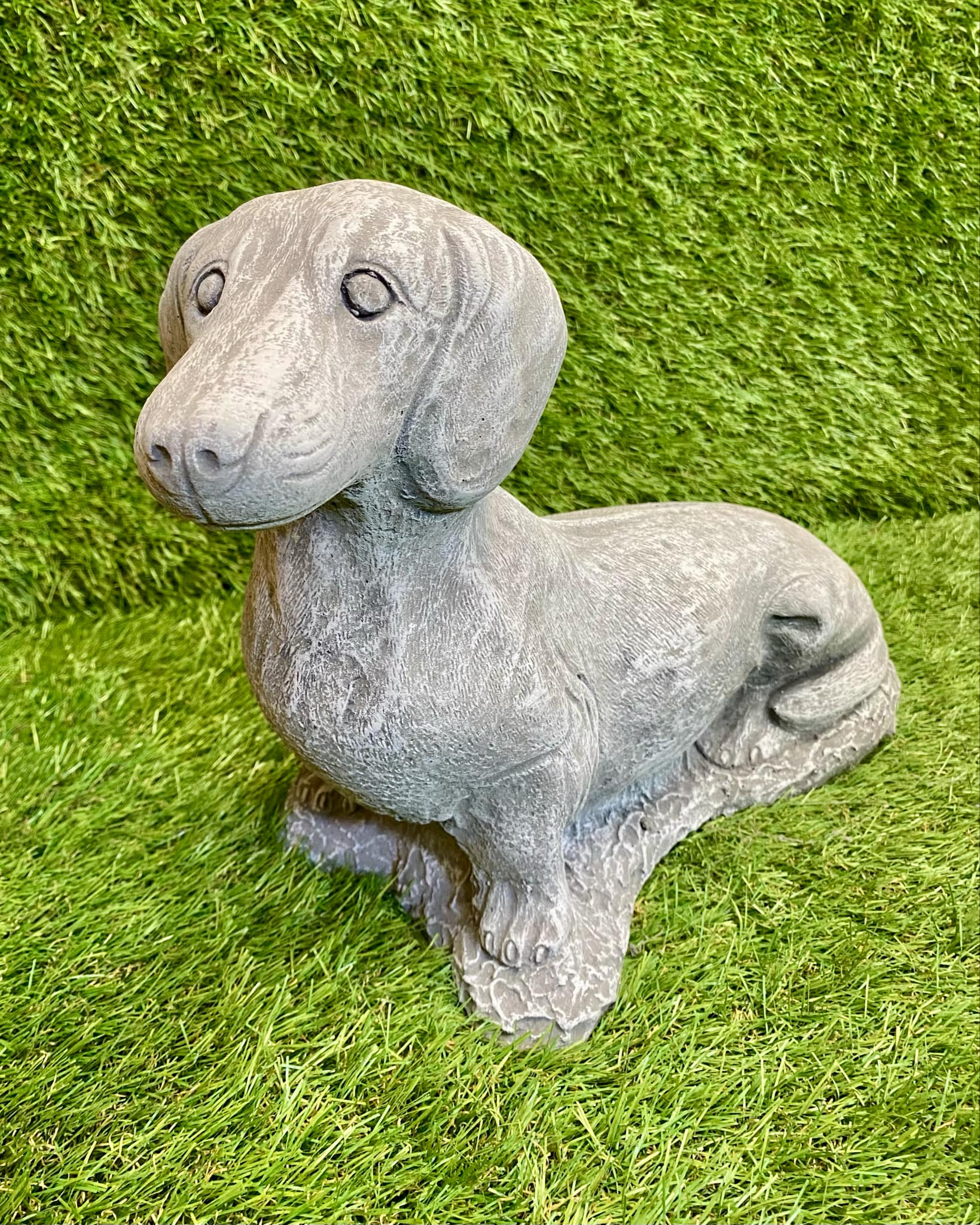 Sausage Dog