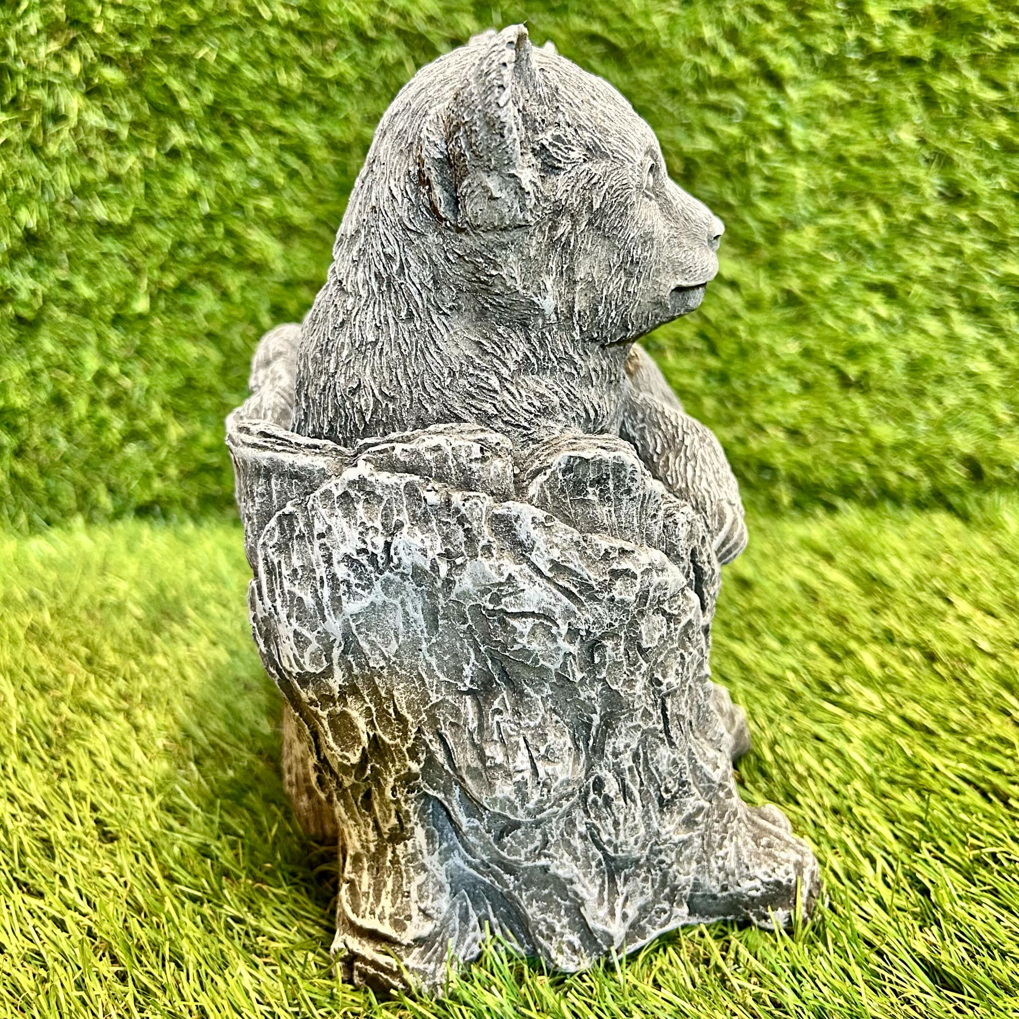 Two Baby Bears In Stump