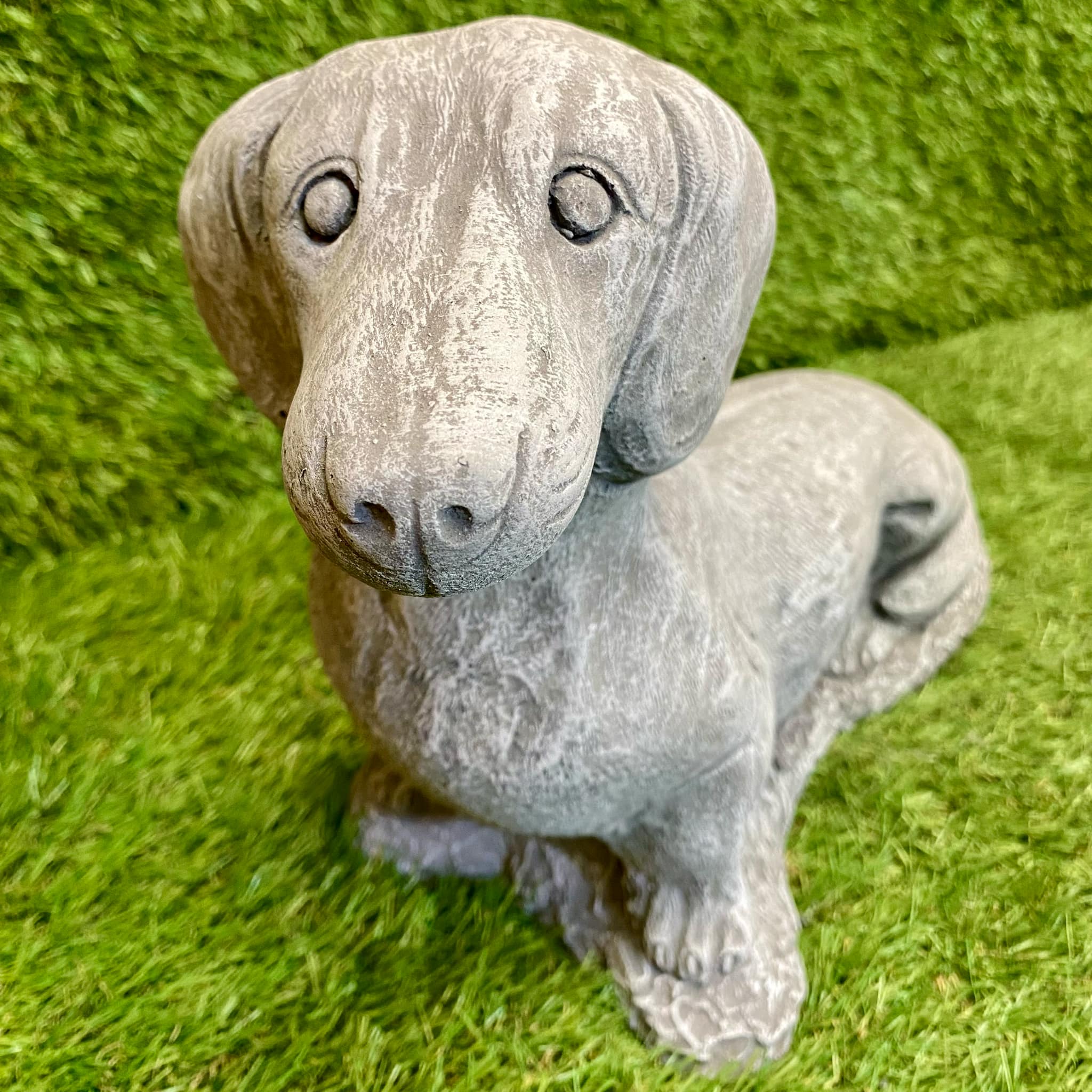 Sausage Dog