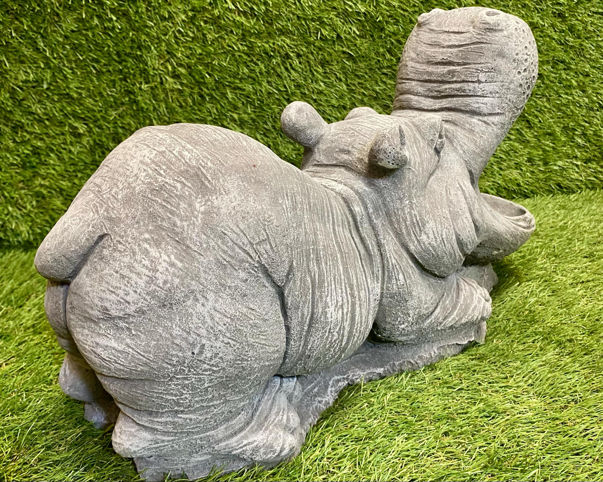 Large Hippo