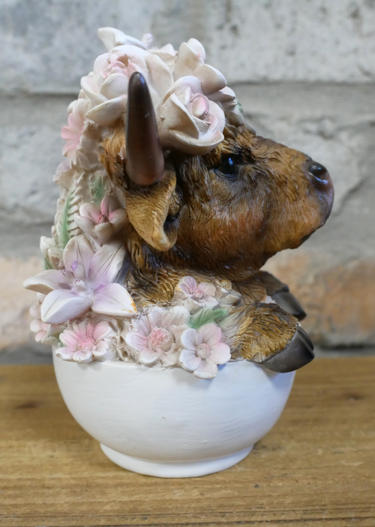 Small Highland Cow In A Tea Cup