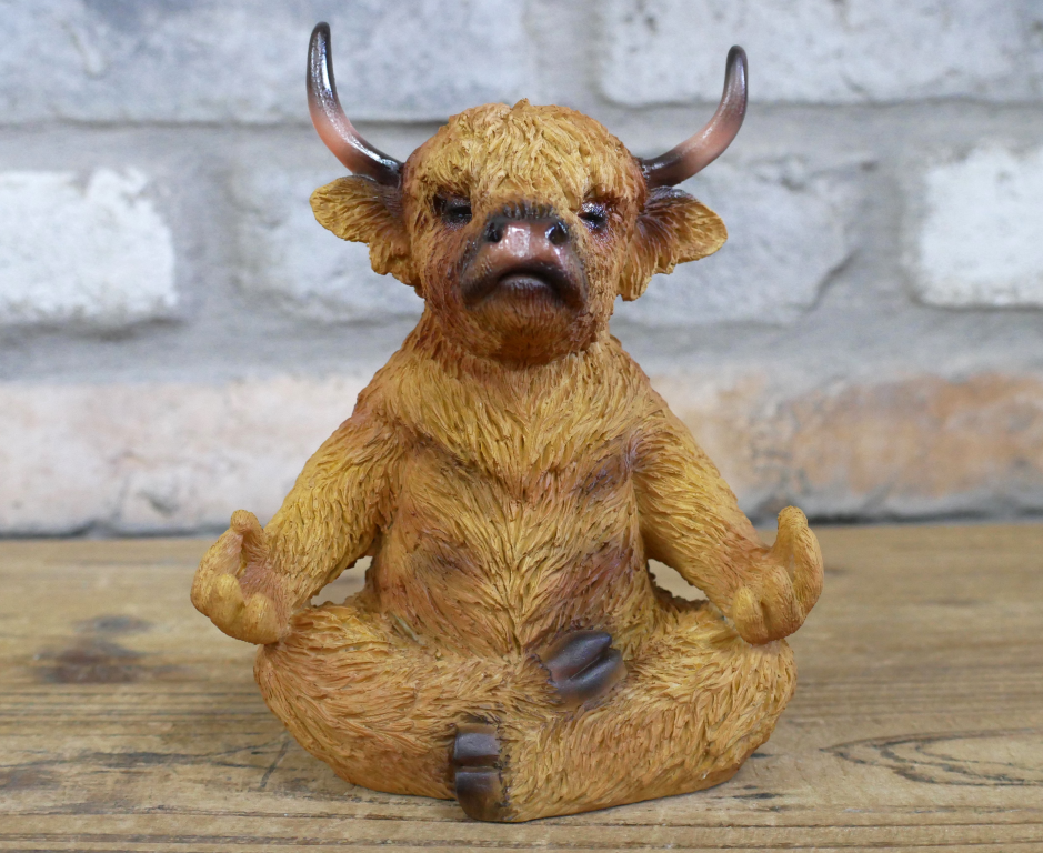 Zen Highland Cow