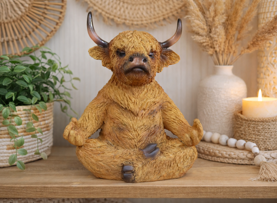 Zen Highland Cow