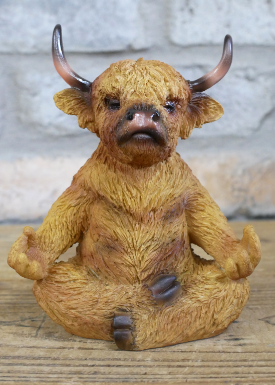 Zen Highland Cow
