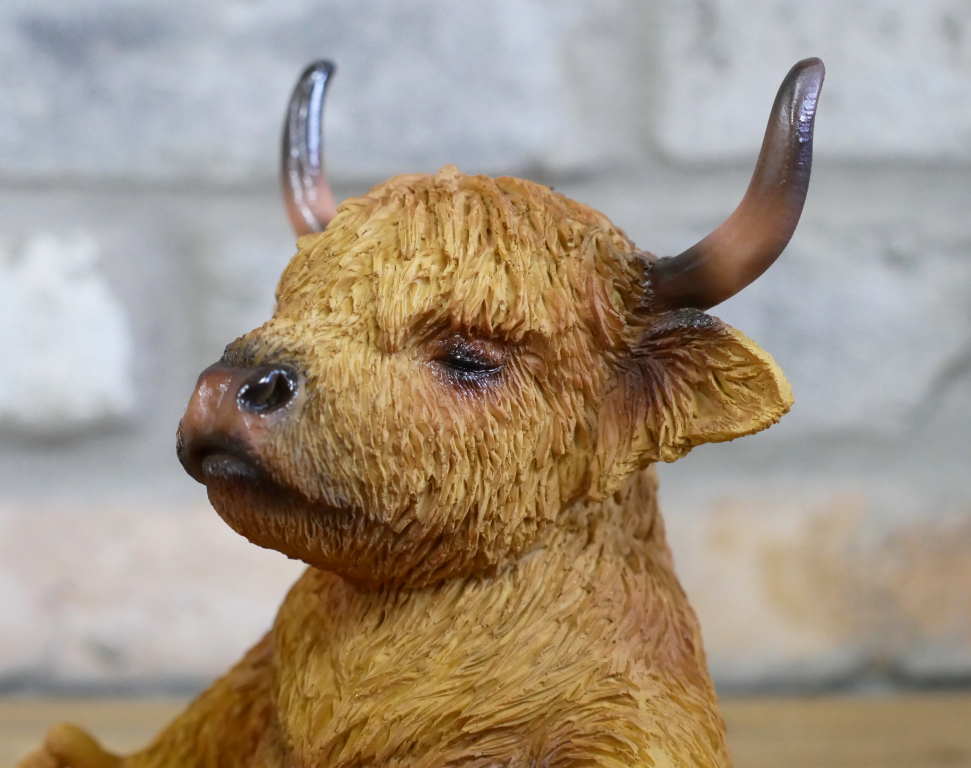 Zen Highland Cow