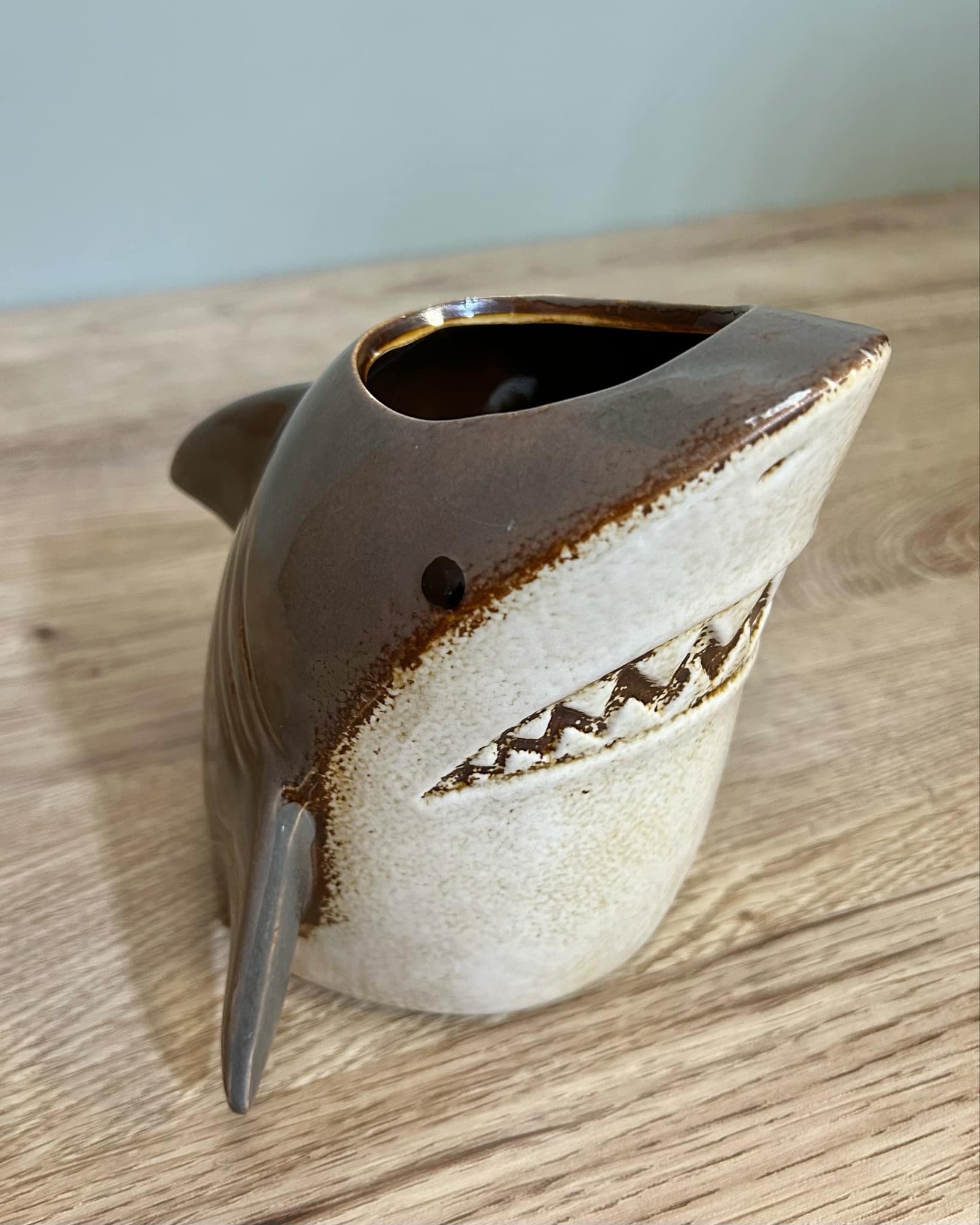 Shark Planter