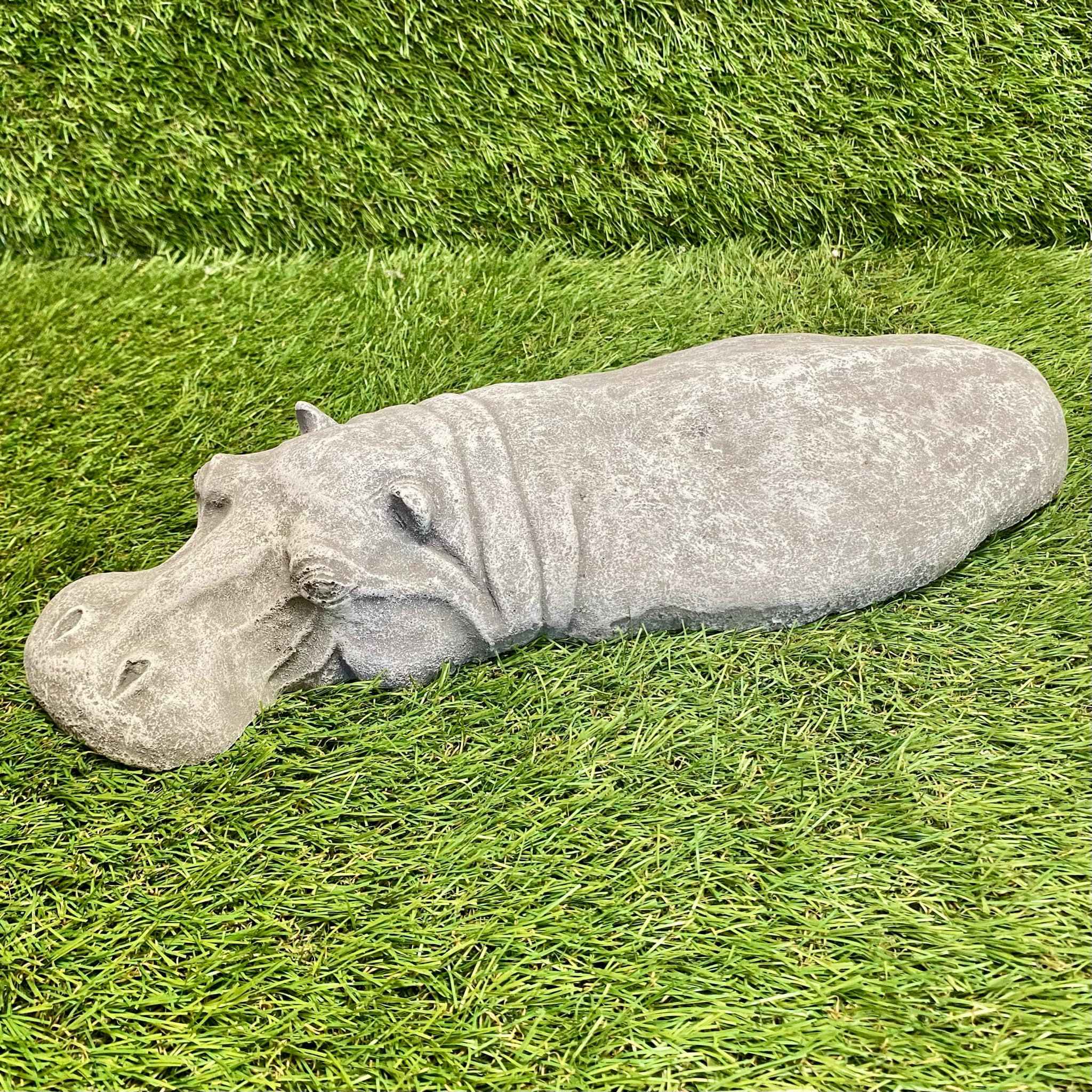 Submerged Hippo