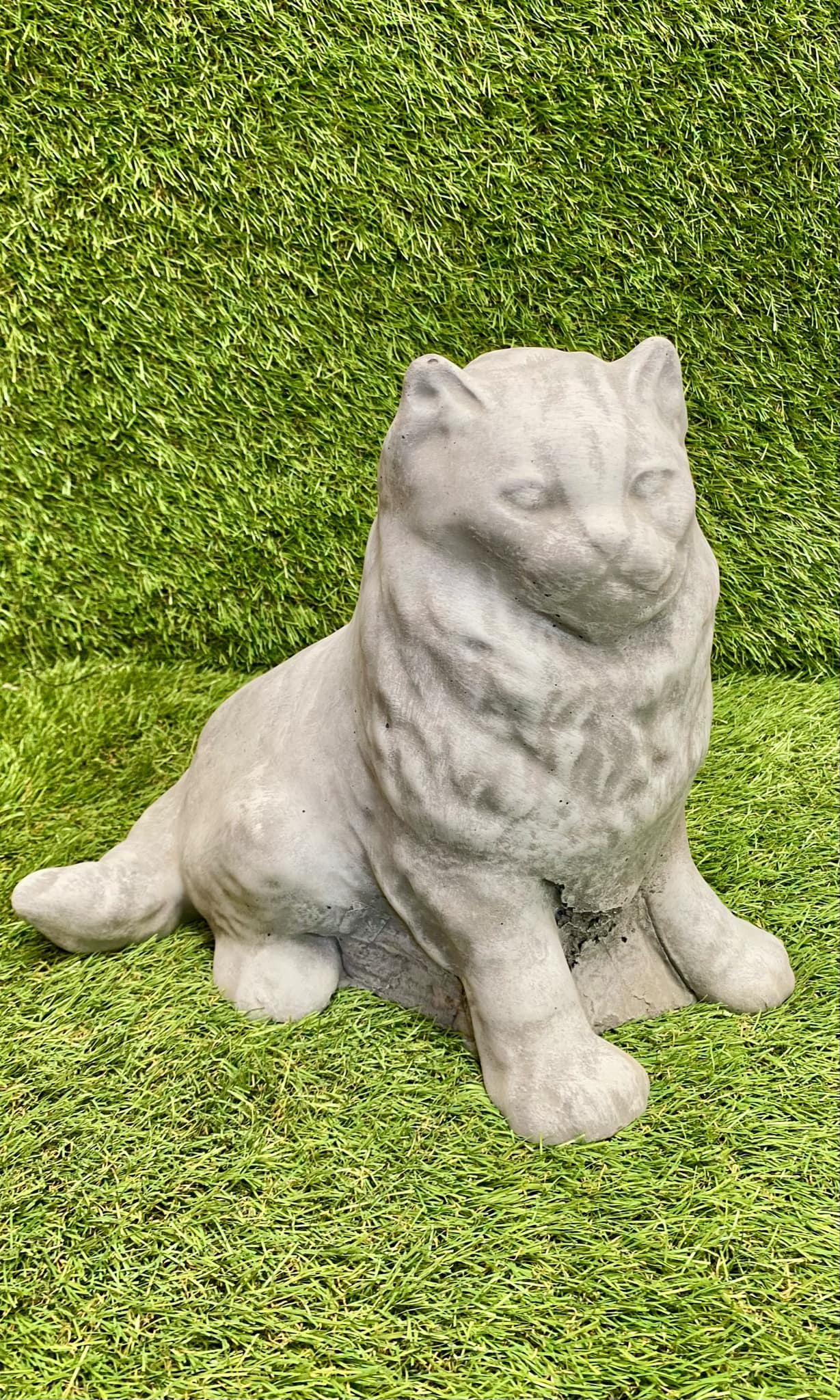 Large Persian Cat