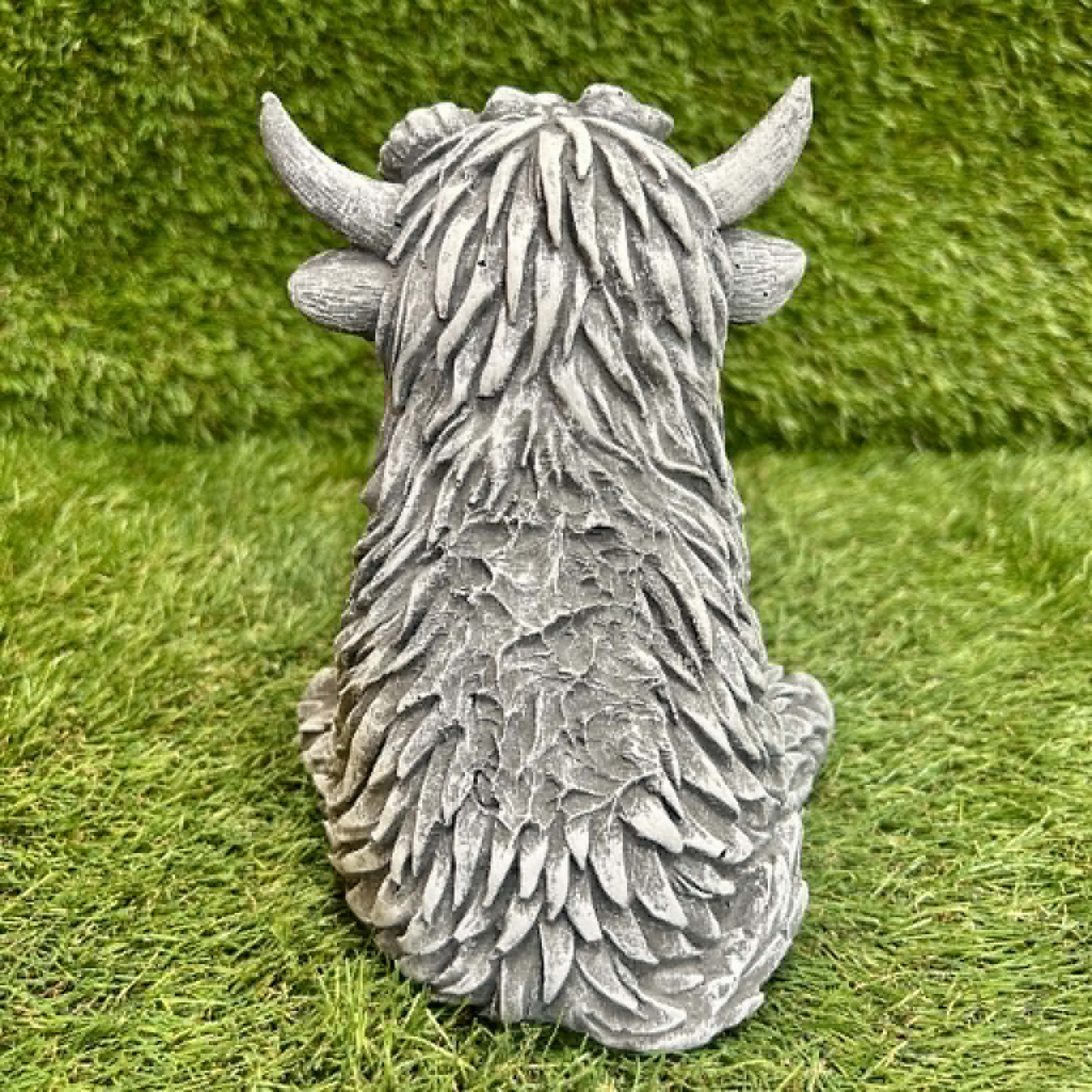 Small Highland Cow