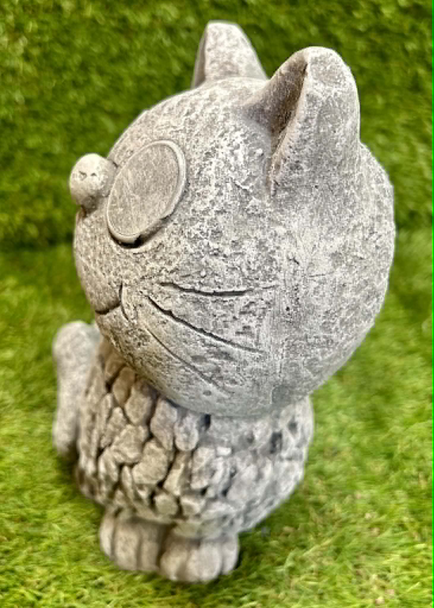 Cat (Big Eyes)