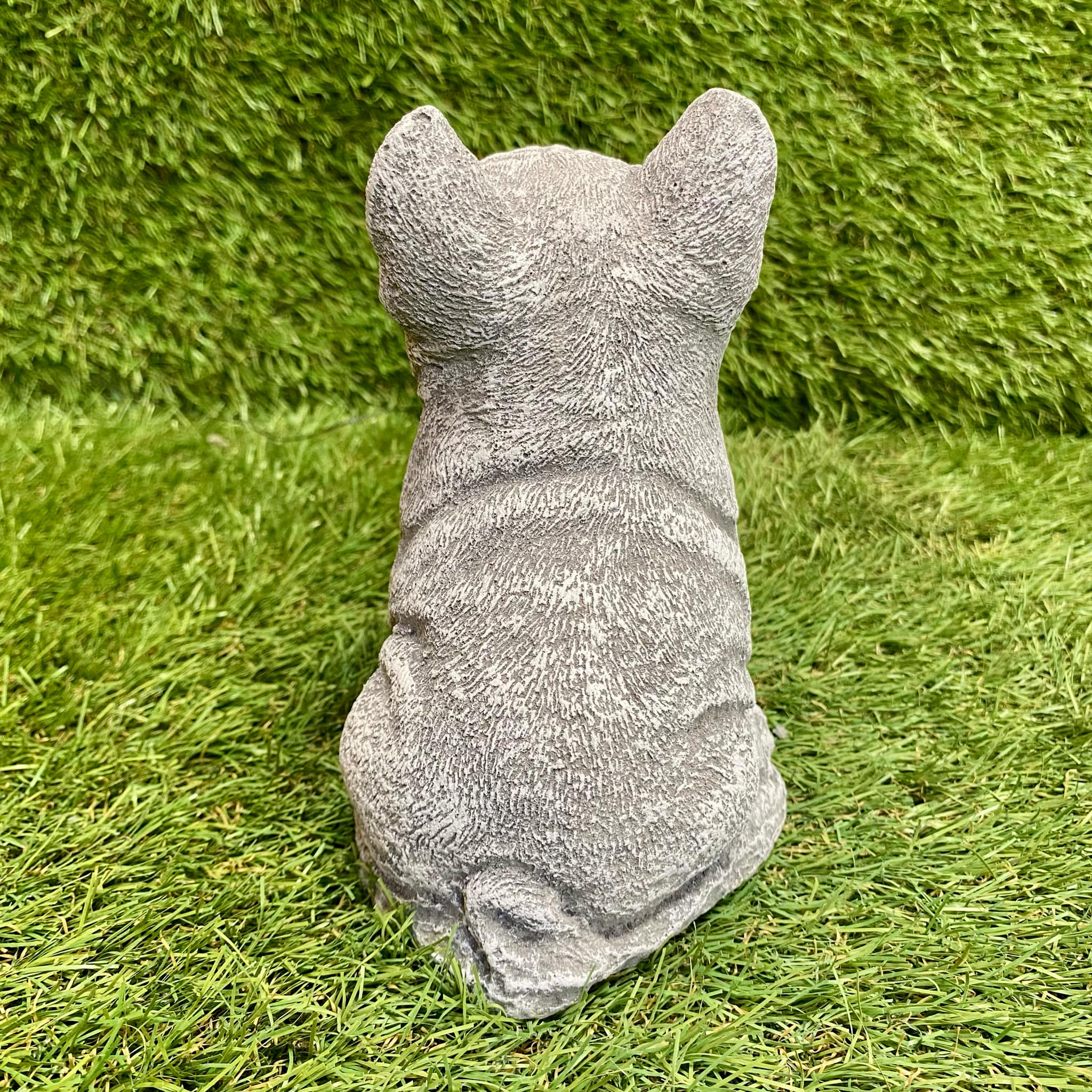 Small French Bulldog