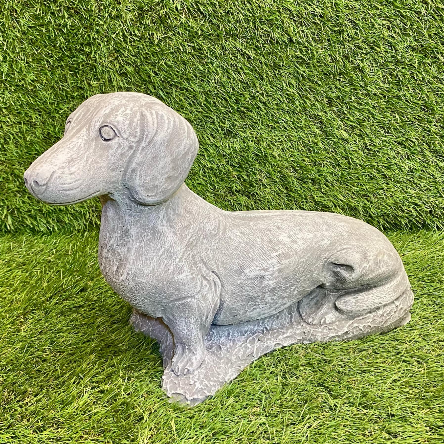 Sausage Dog
