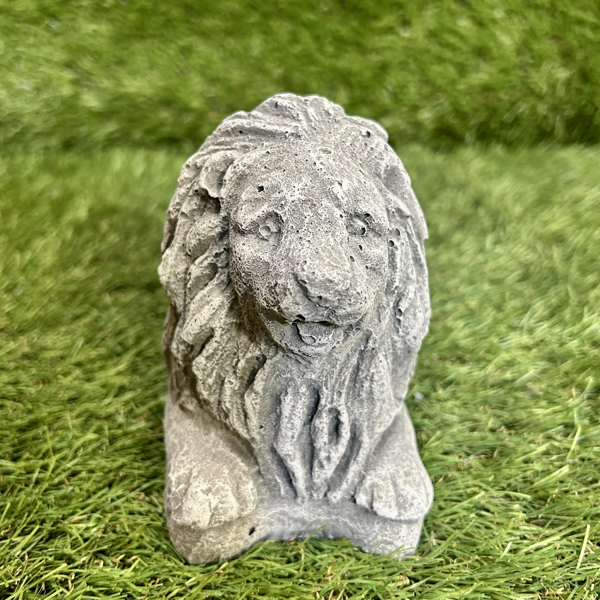 Small Lion