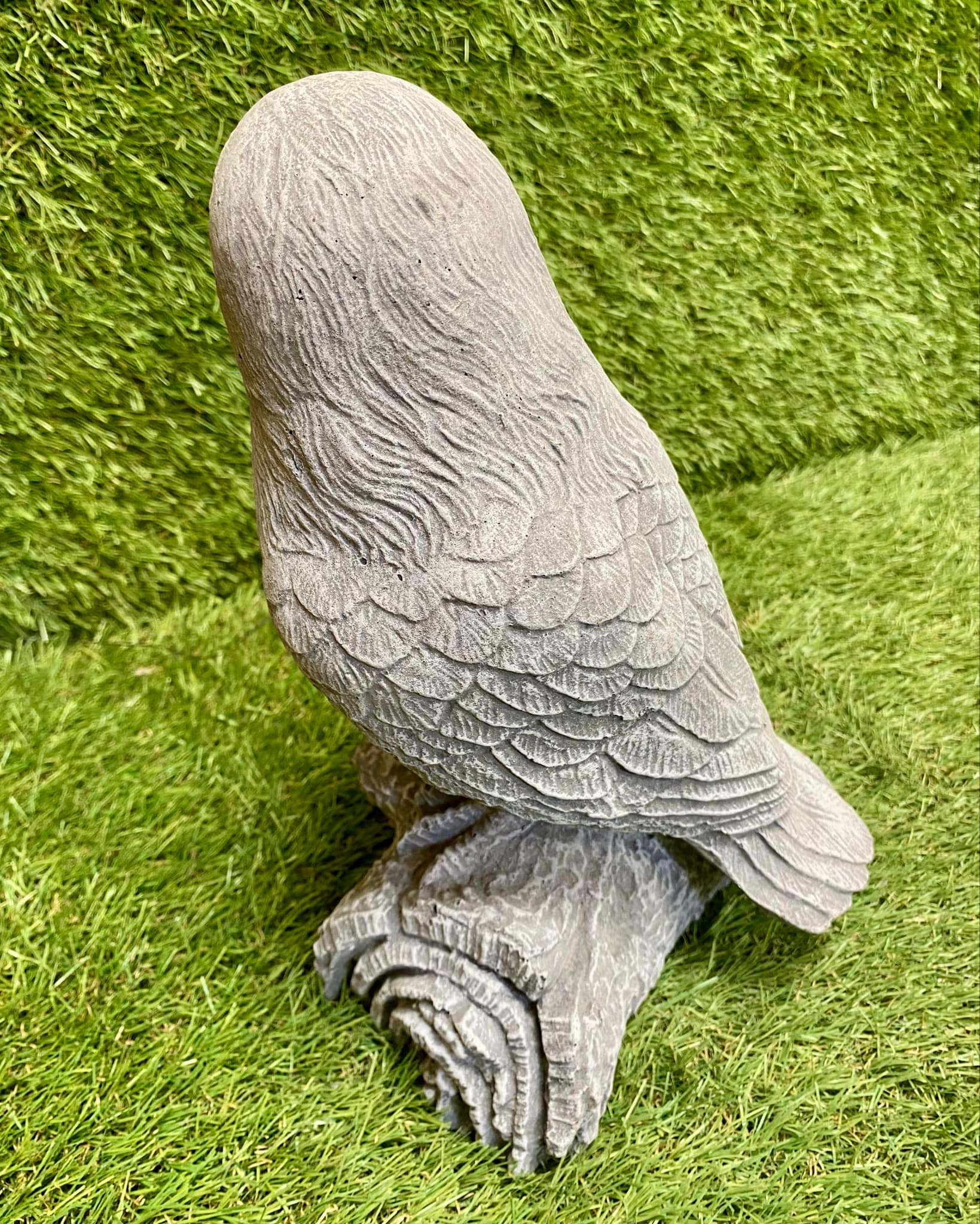 Owl On Log