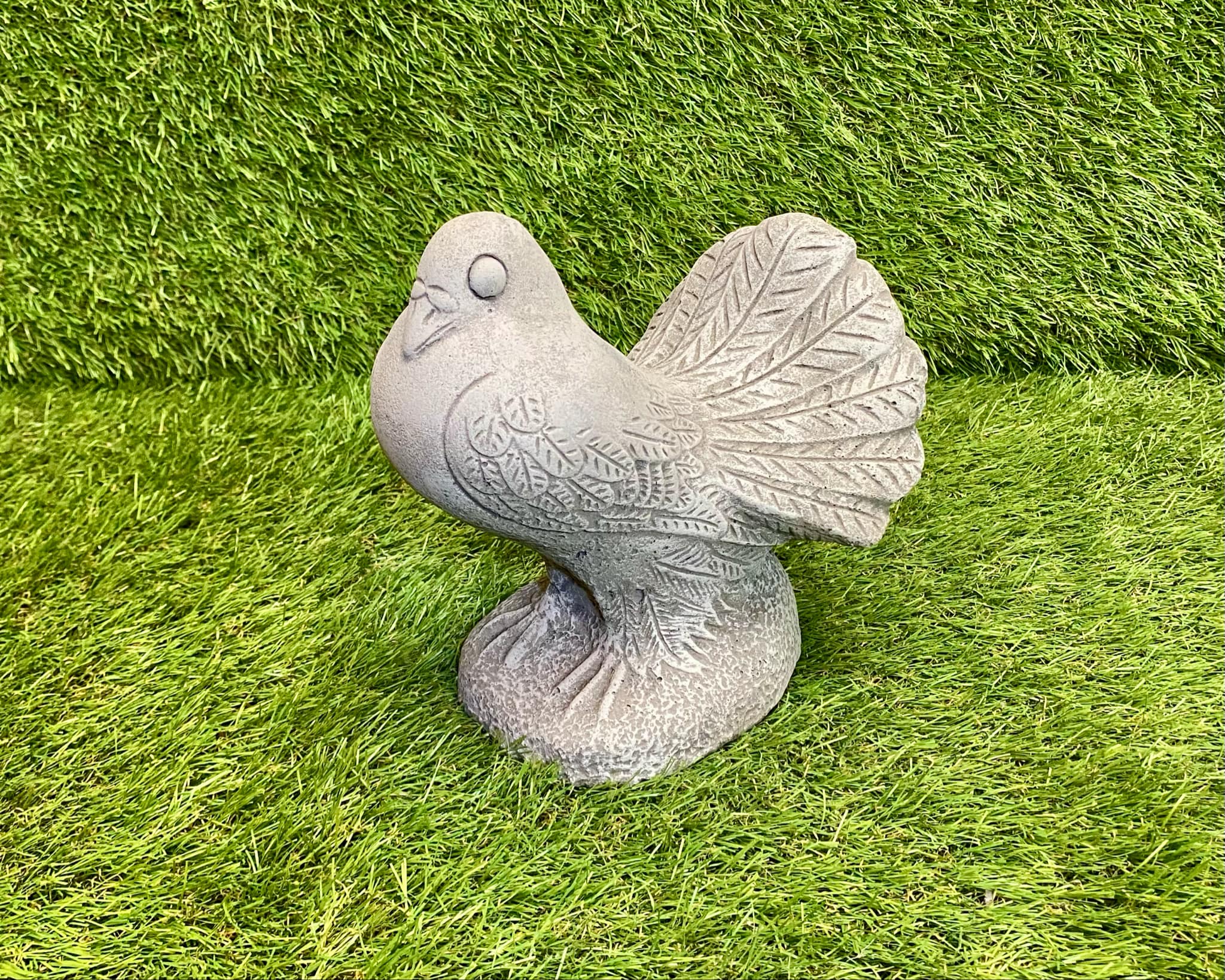 Dove