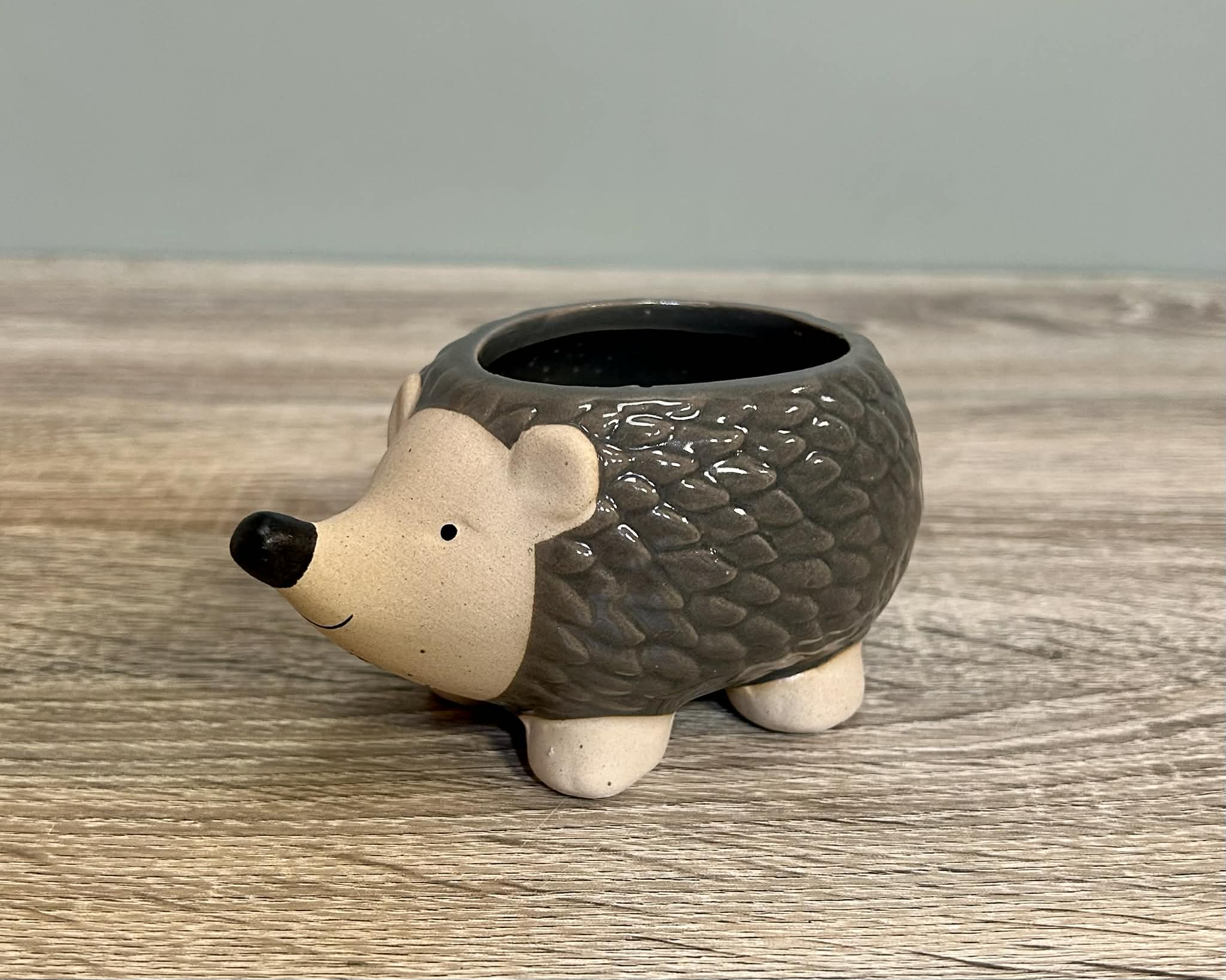 Ceramic Hedgehog Plant Pot