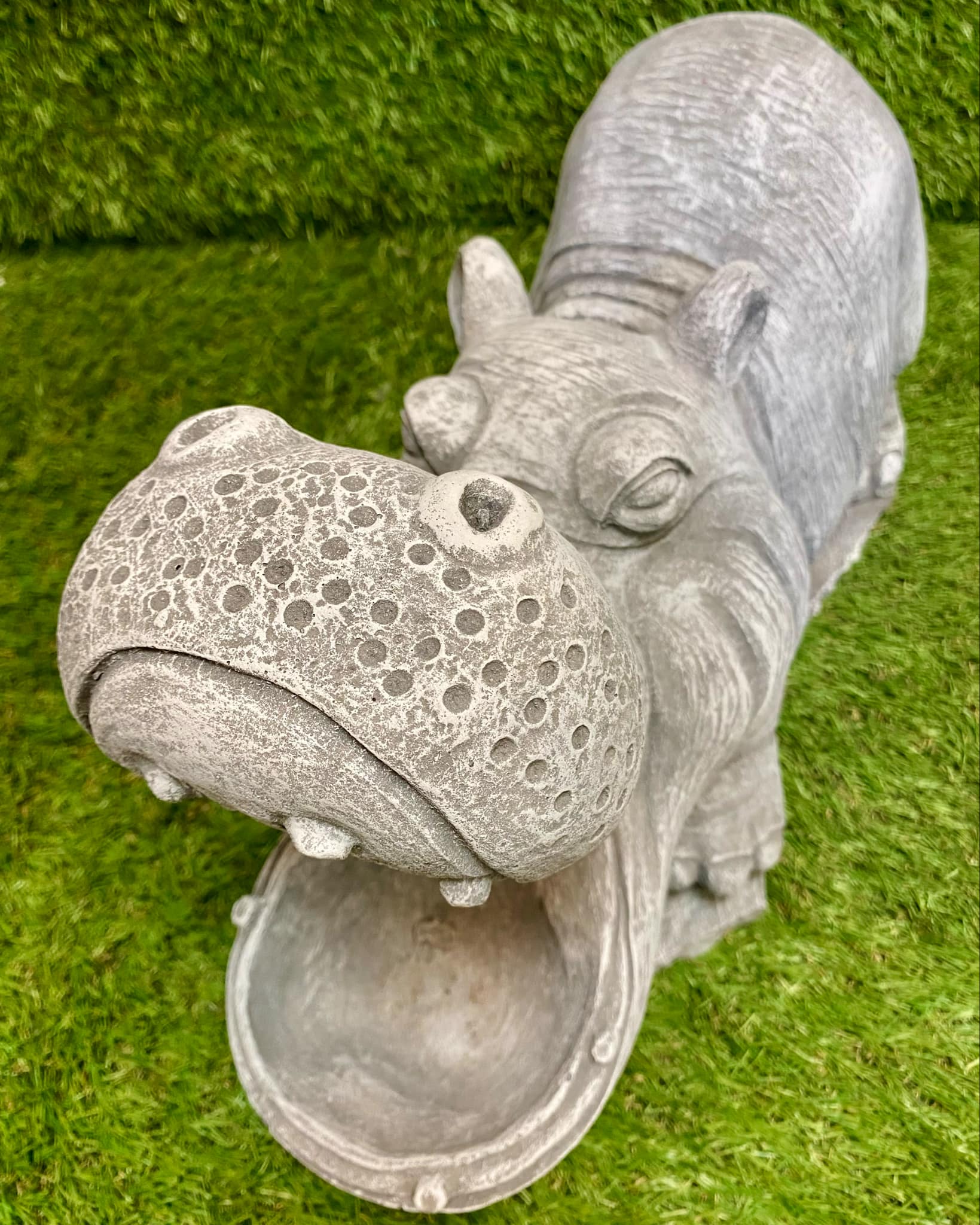 Large Hippo