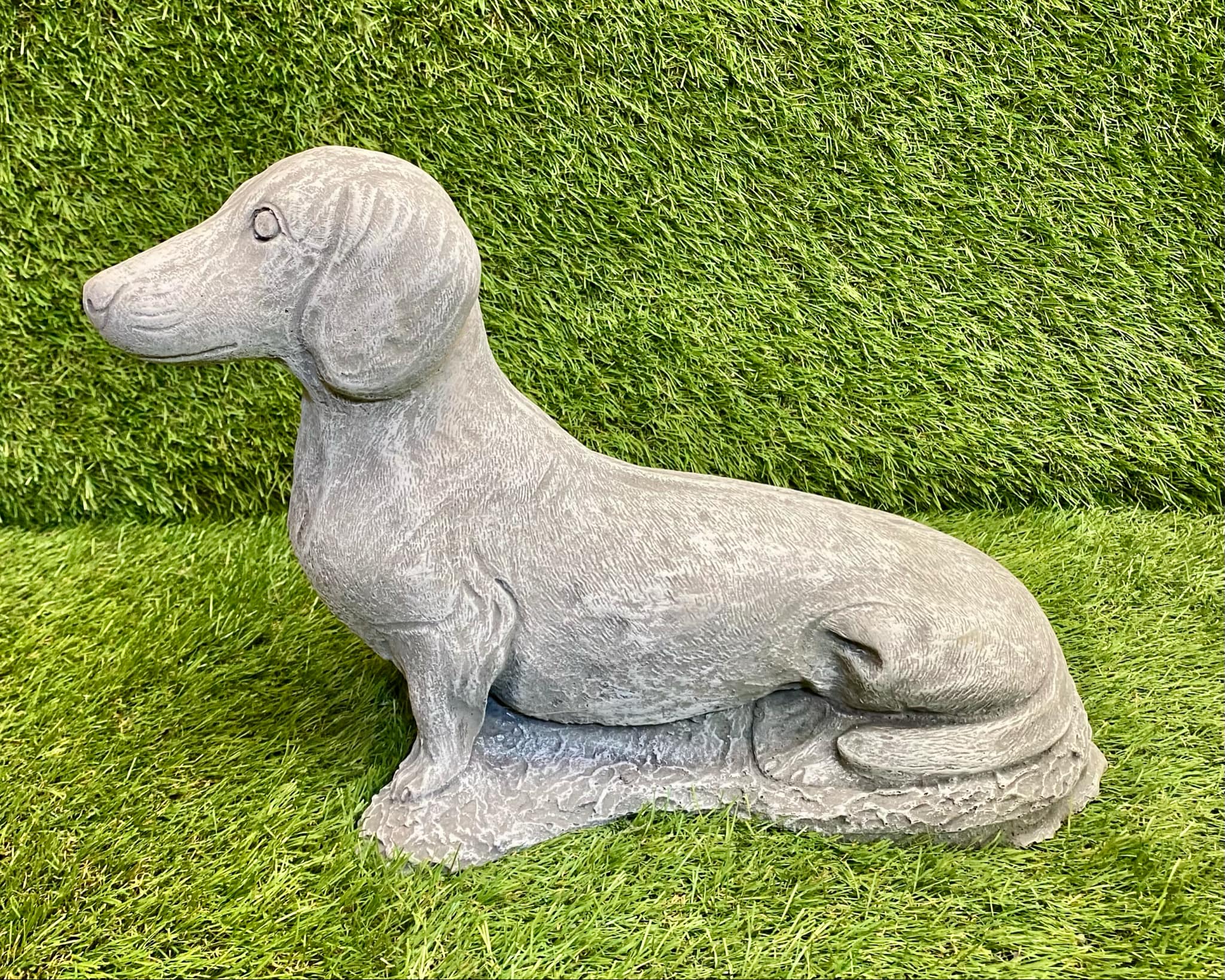 Sausage Dog