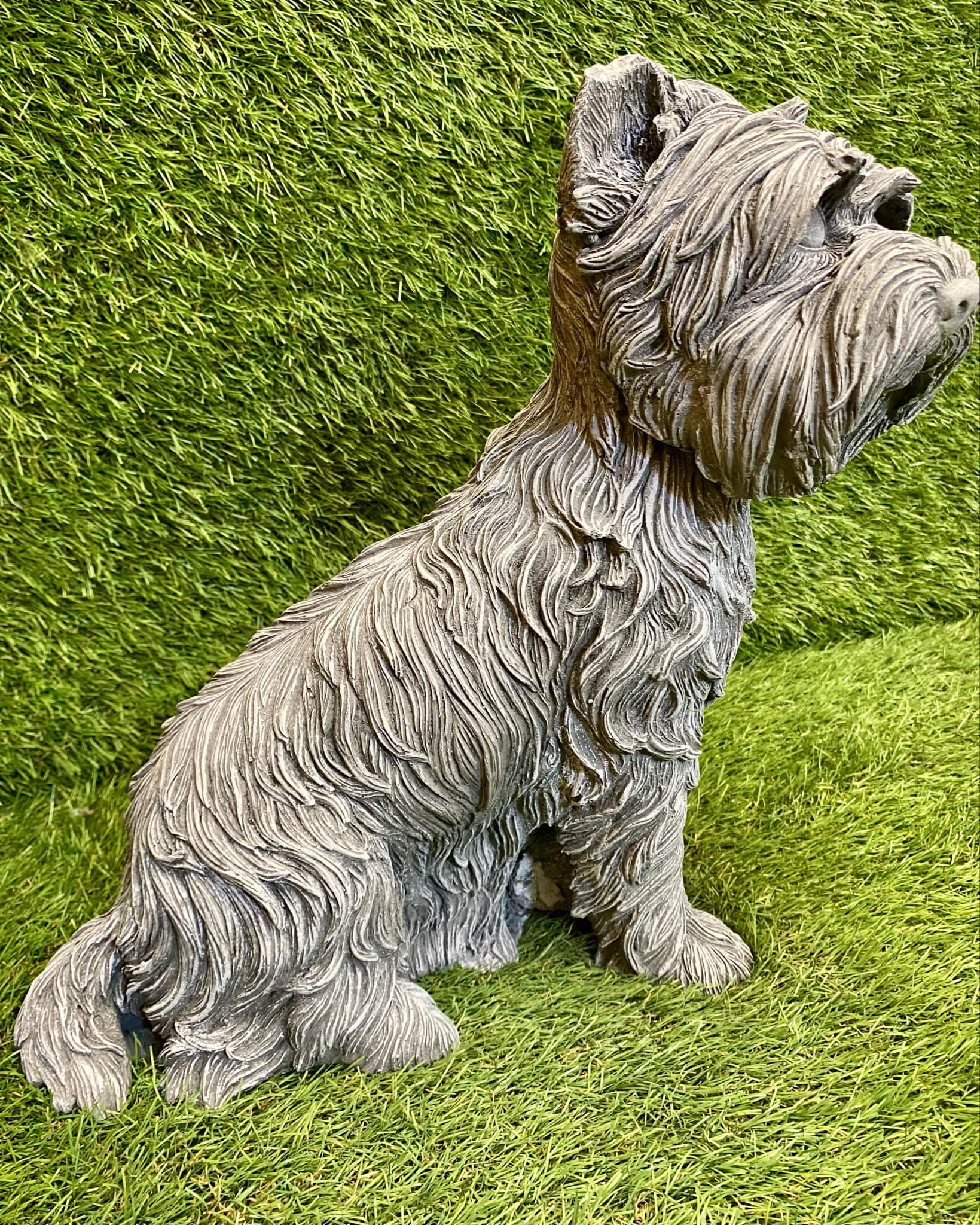 Large Westie Dog