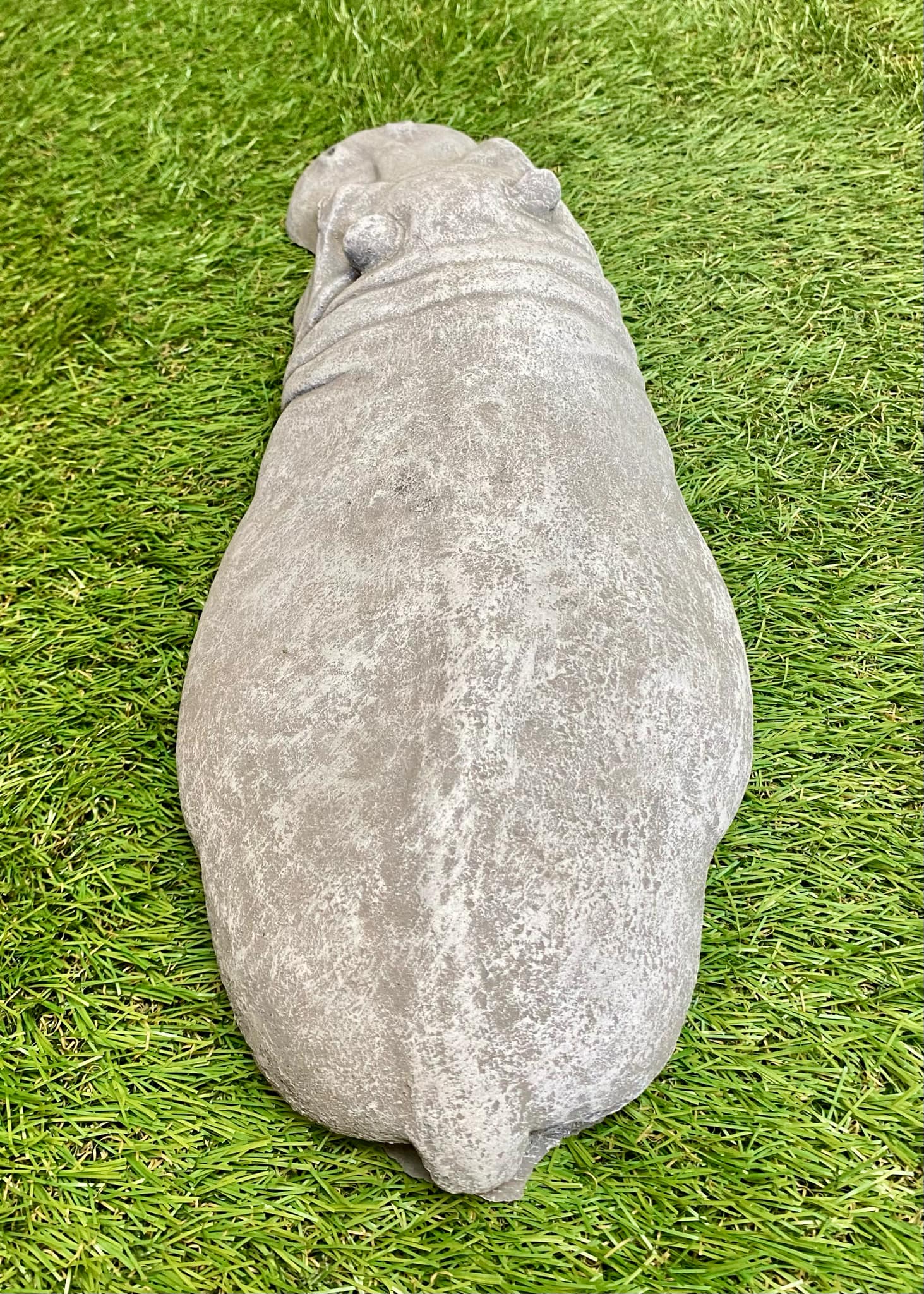 Submerged Hippo