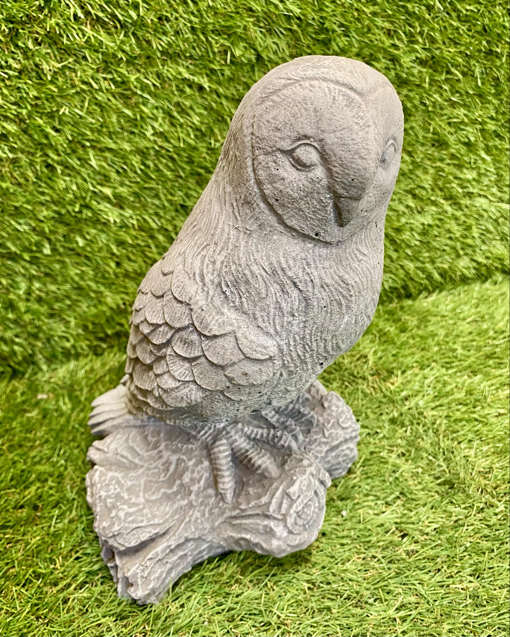 Owl On Log