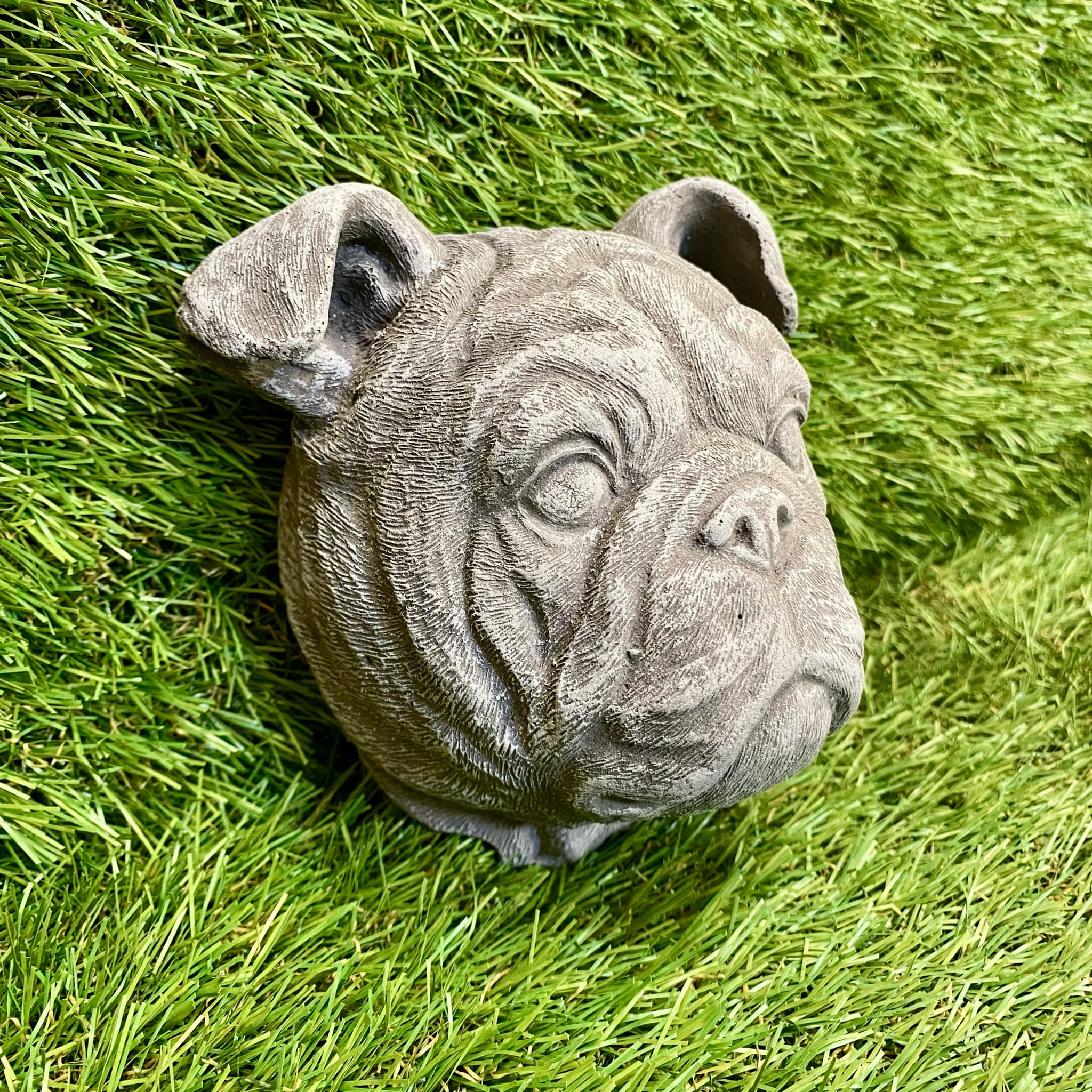 Bulldog Head Wall Plaque