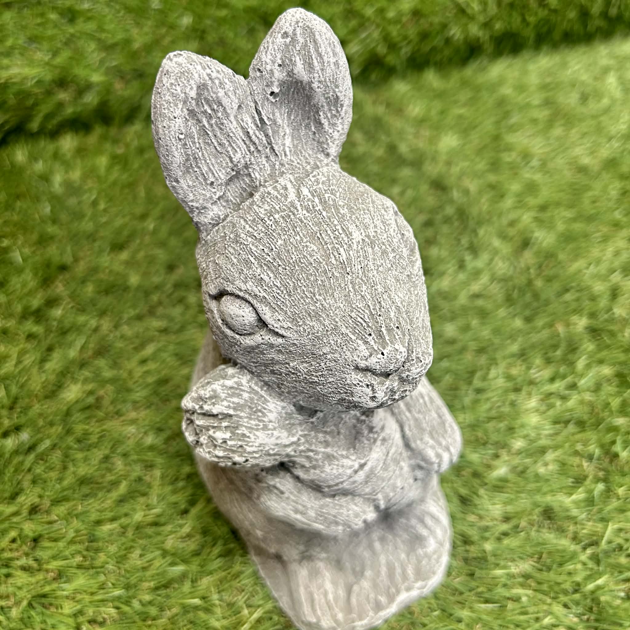 Rabbit With Carrot