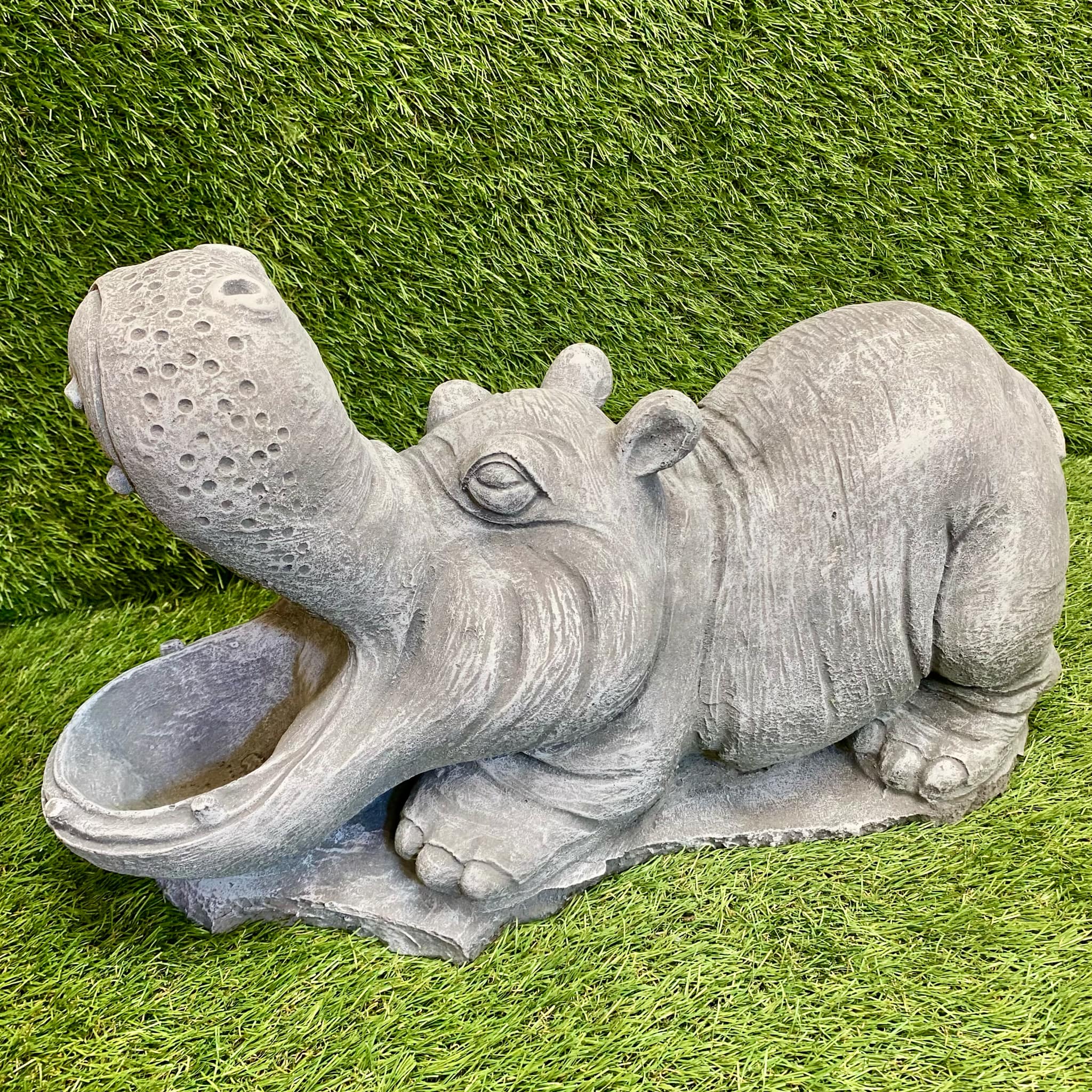 Large Hippo
