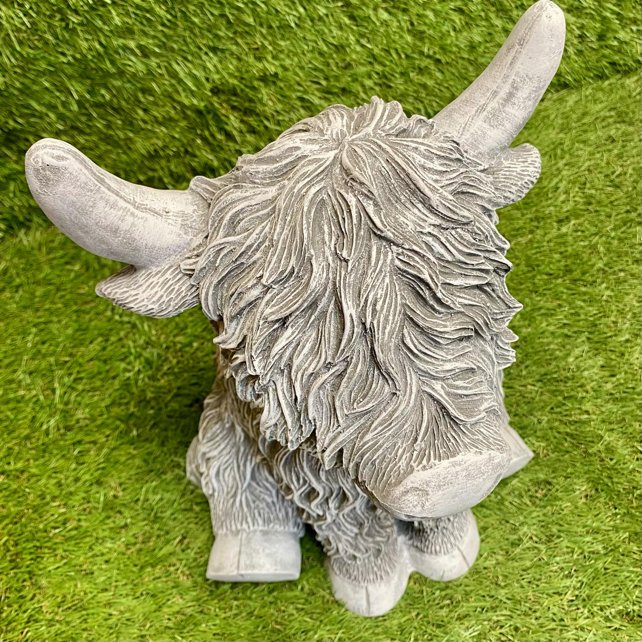 Highland Cow