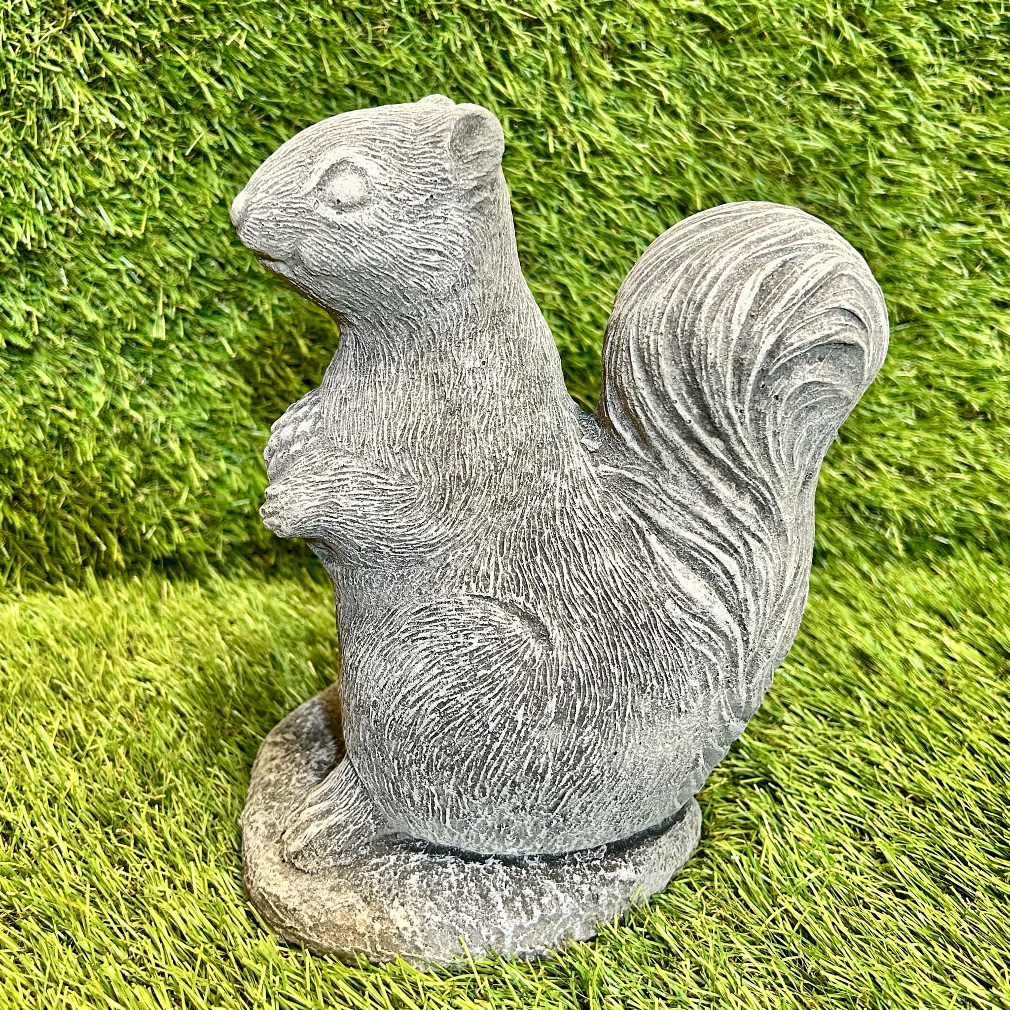 Squirrel