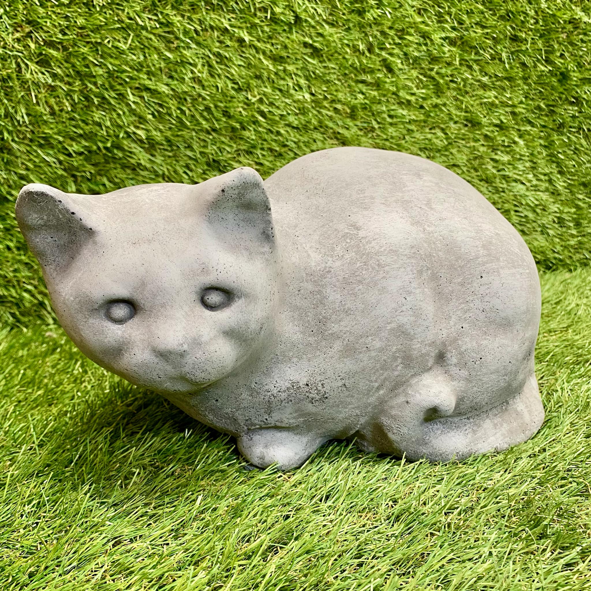 Sitting Cat