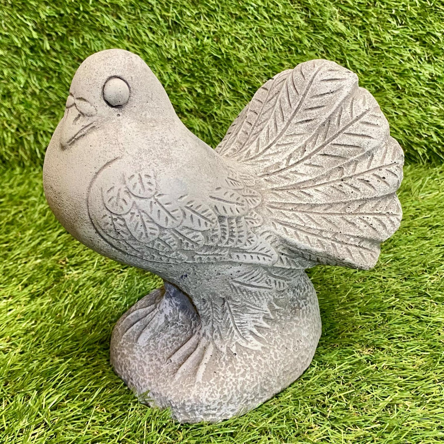 Dove