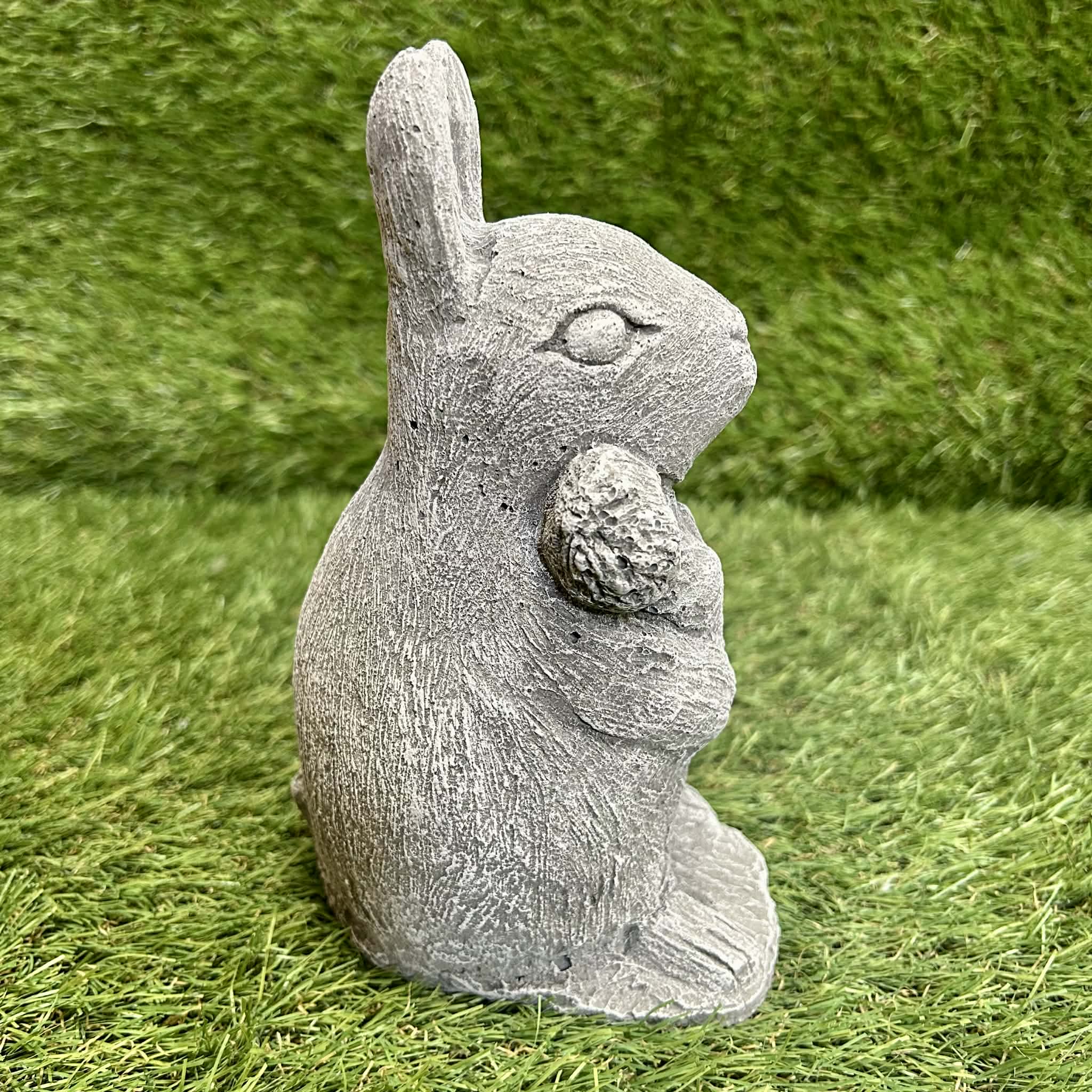 Rabbit With Carrot