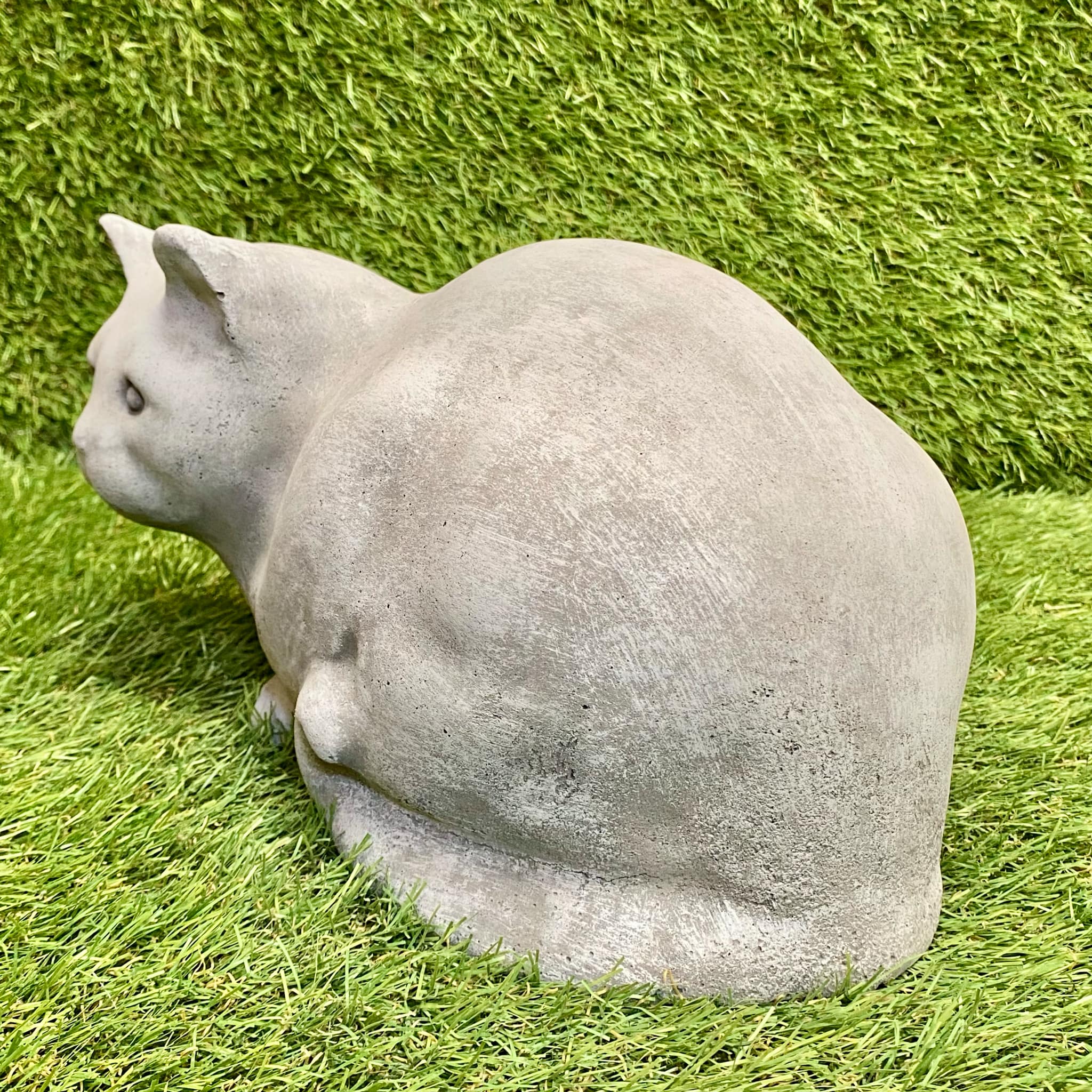 Sitting Cat