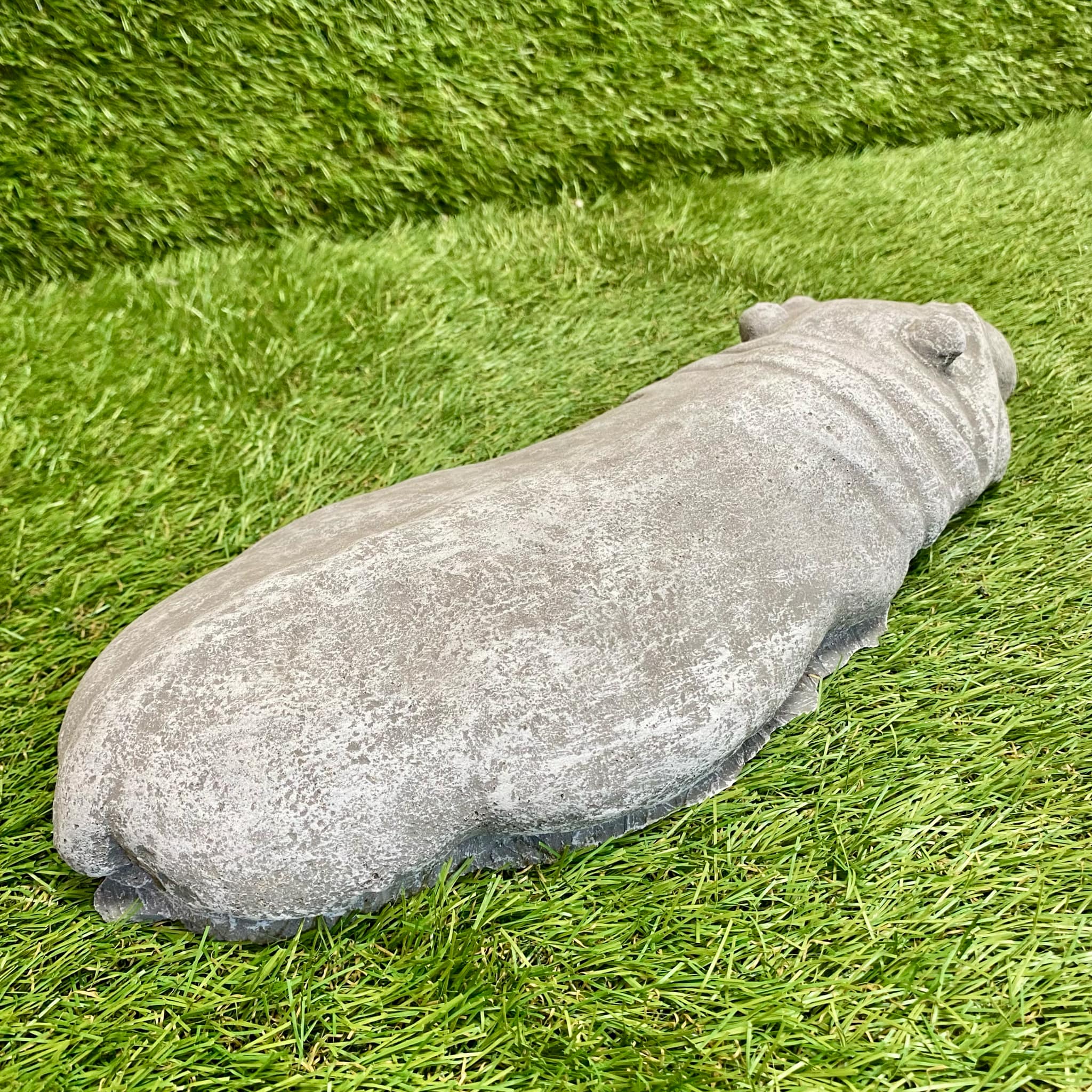 Submerged Hippo