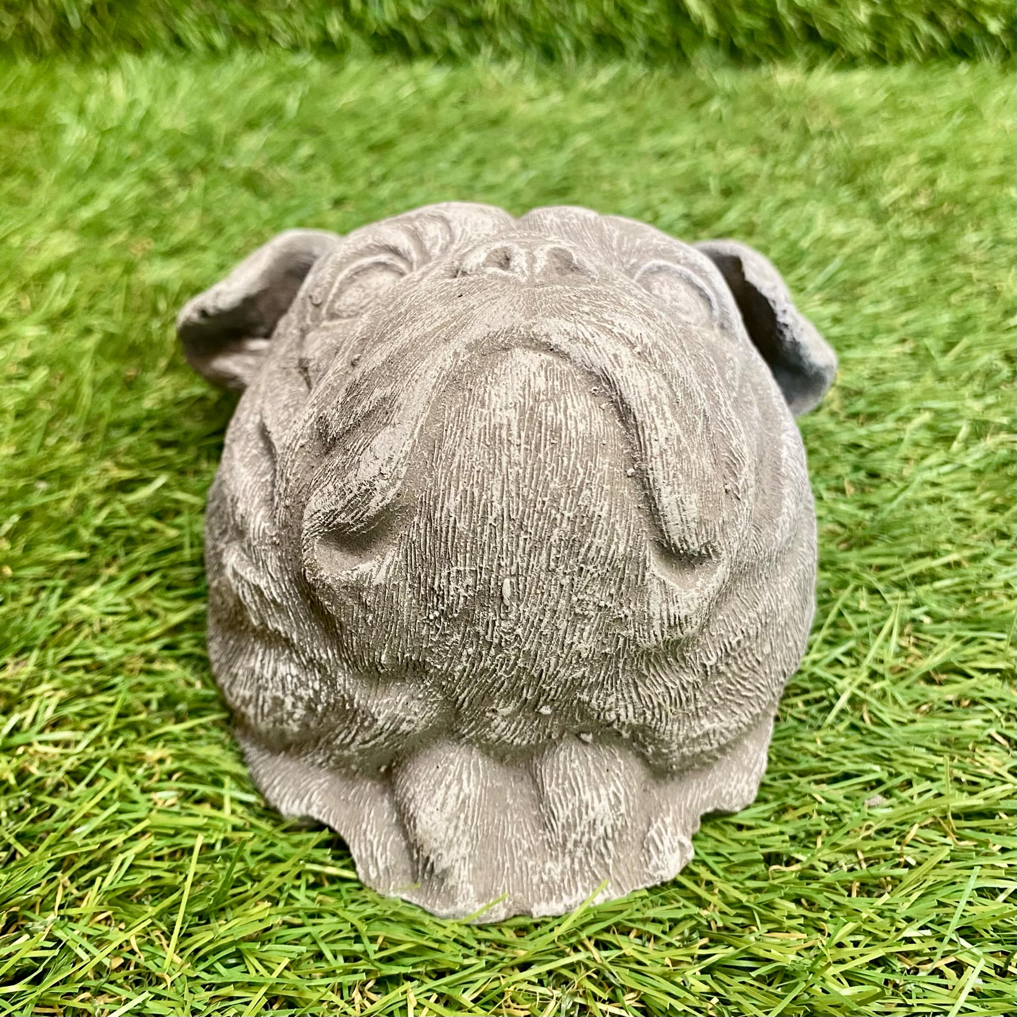 Bulldog Head Wall Plaque