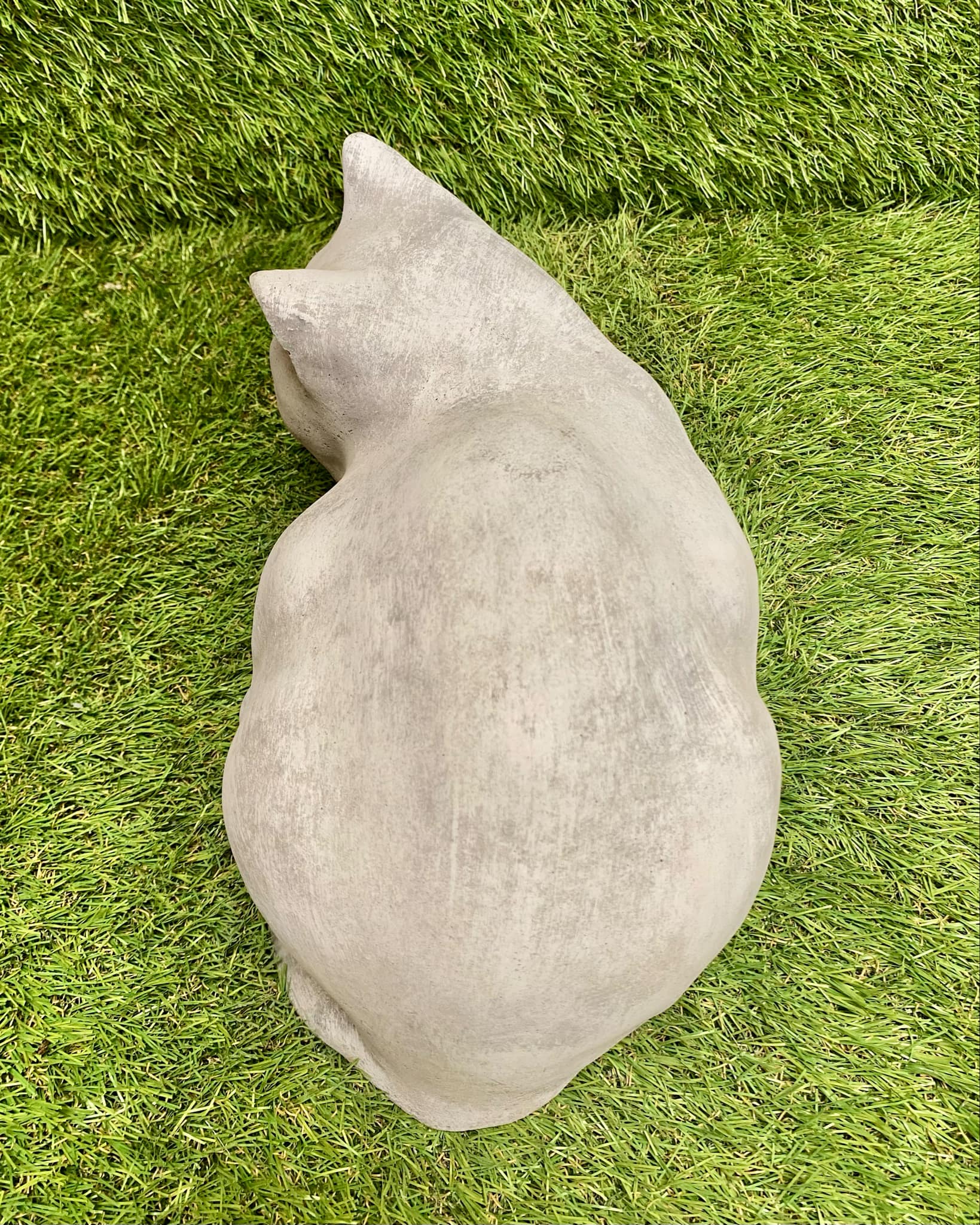 Sitting Cat