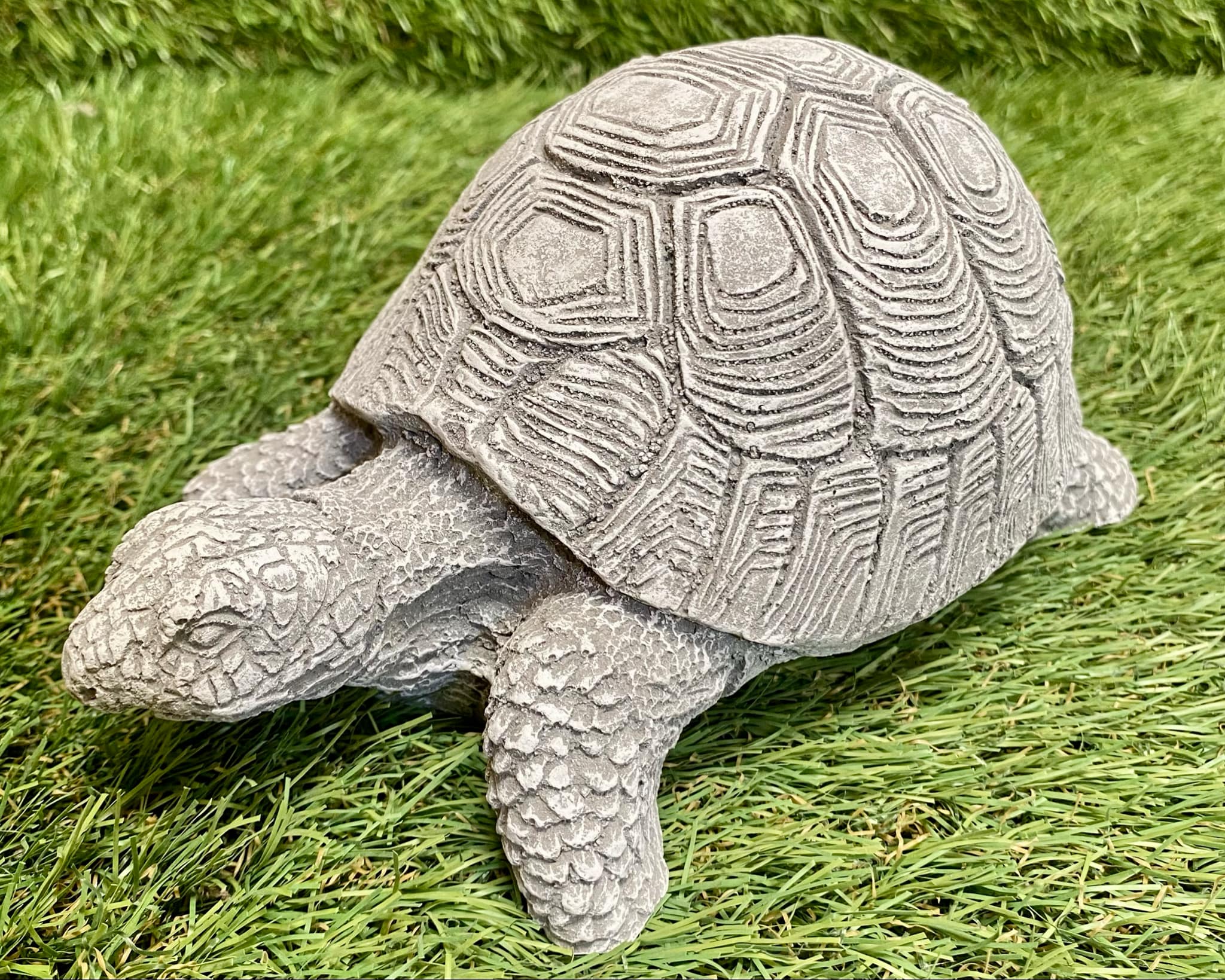 Tortoise