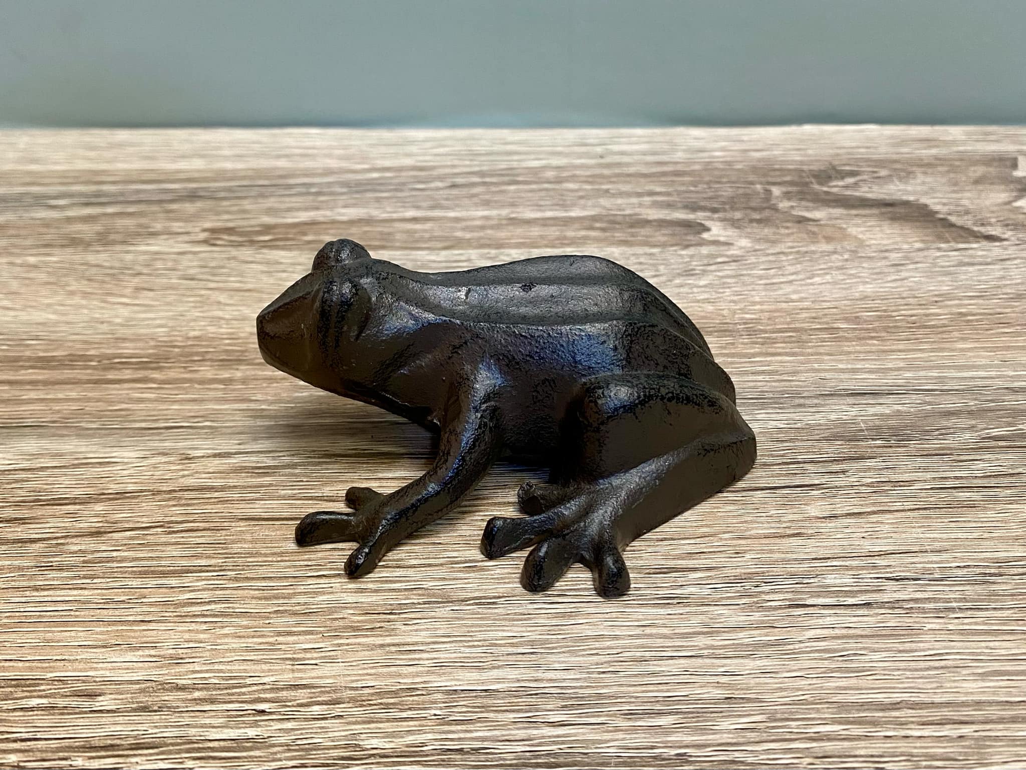Metal Frog