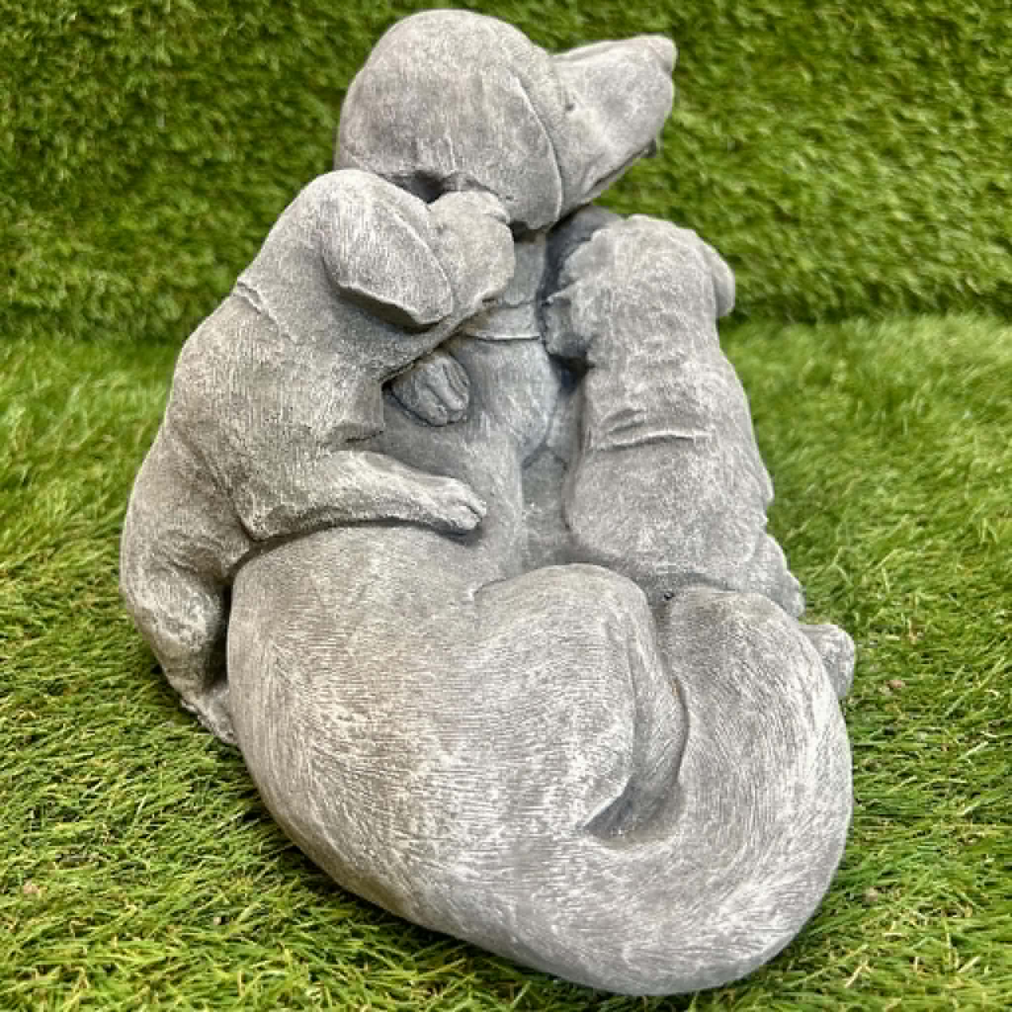 Dog With Puppies