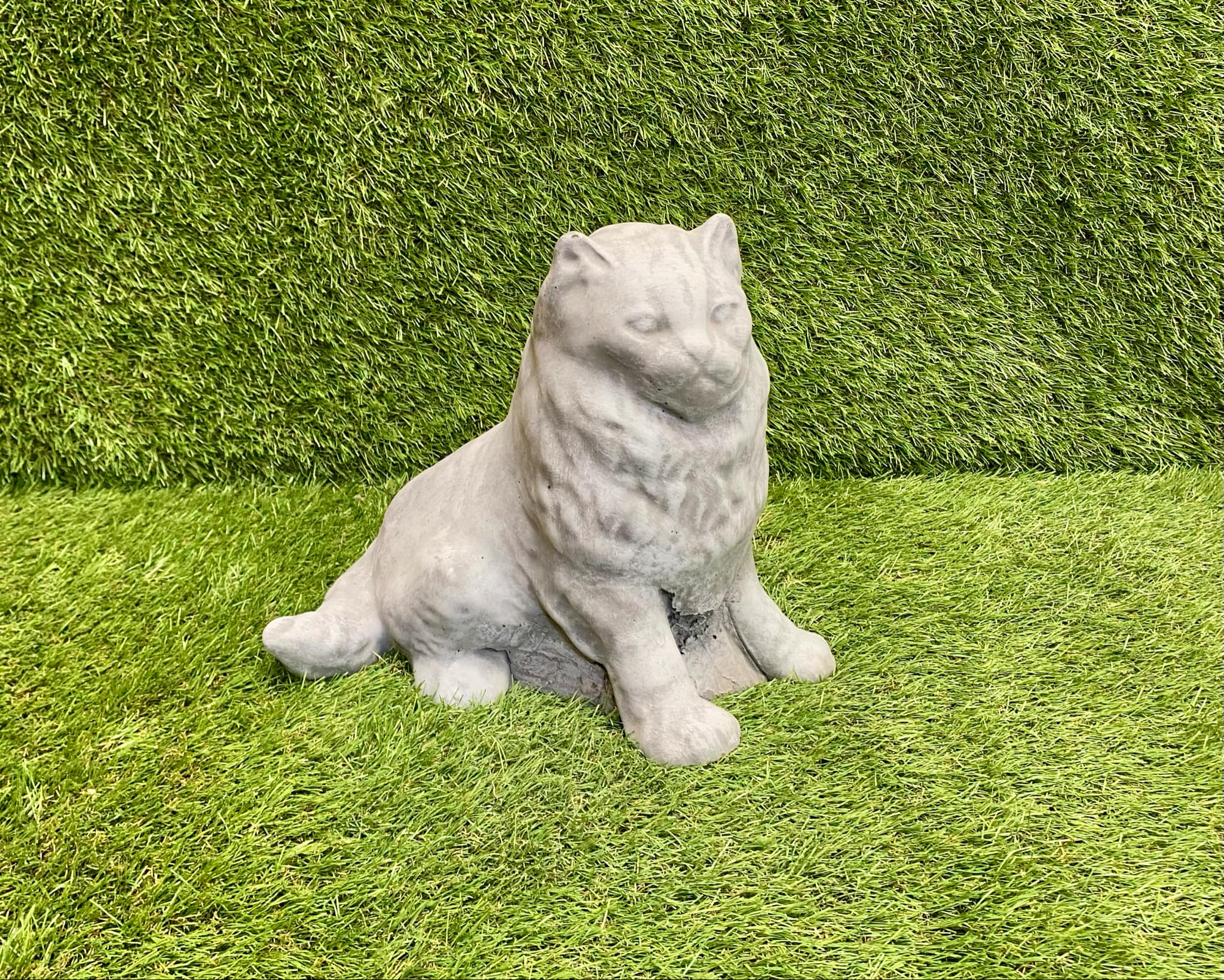 Large Persian Cat