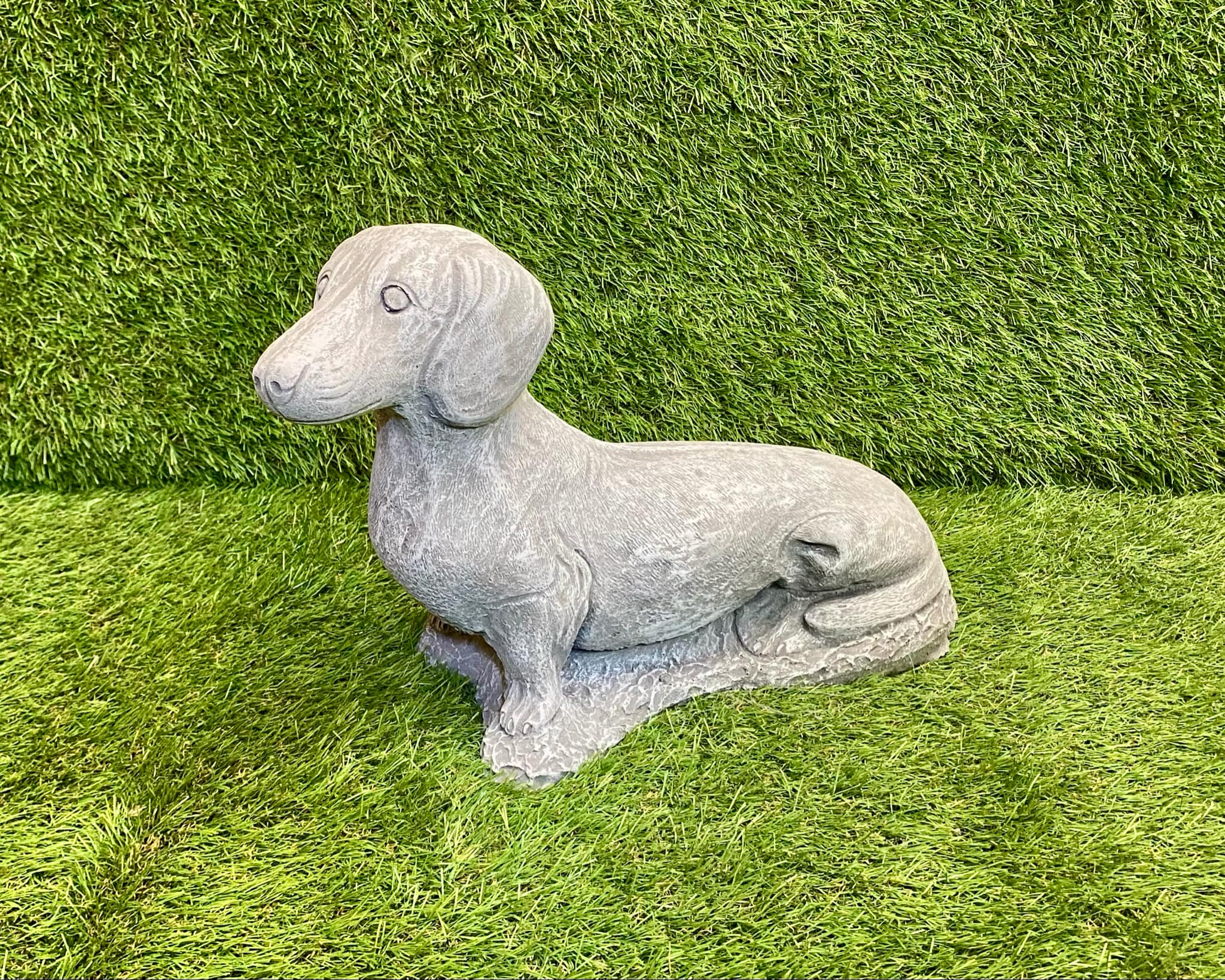 Sausage Dog