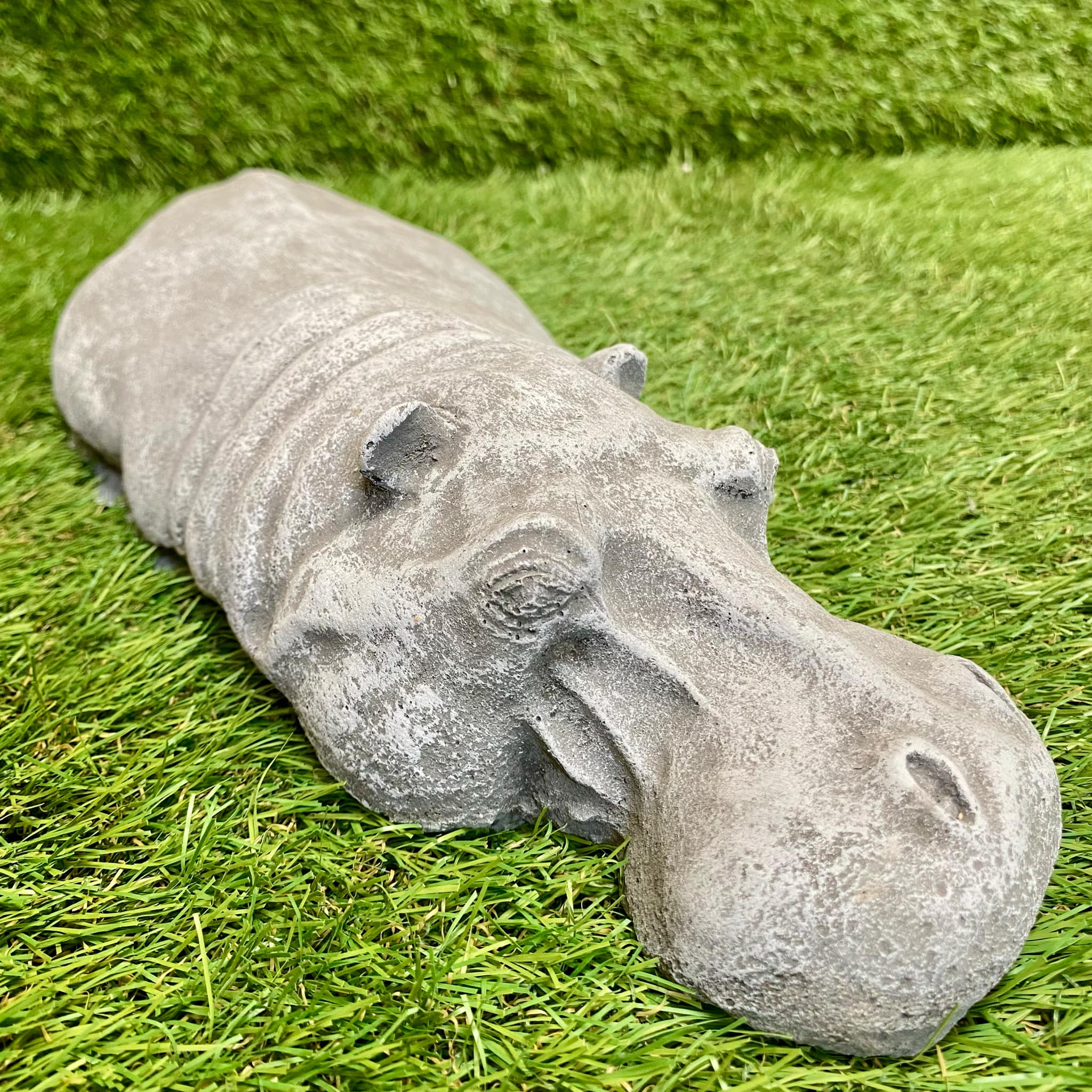 Submerged Hippo
