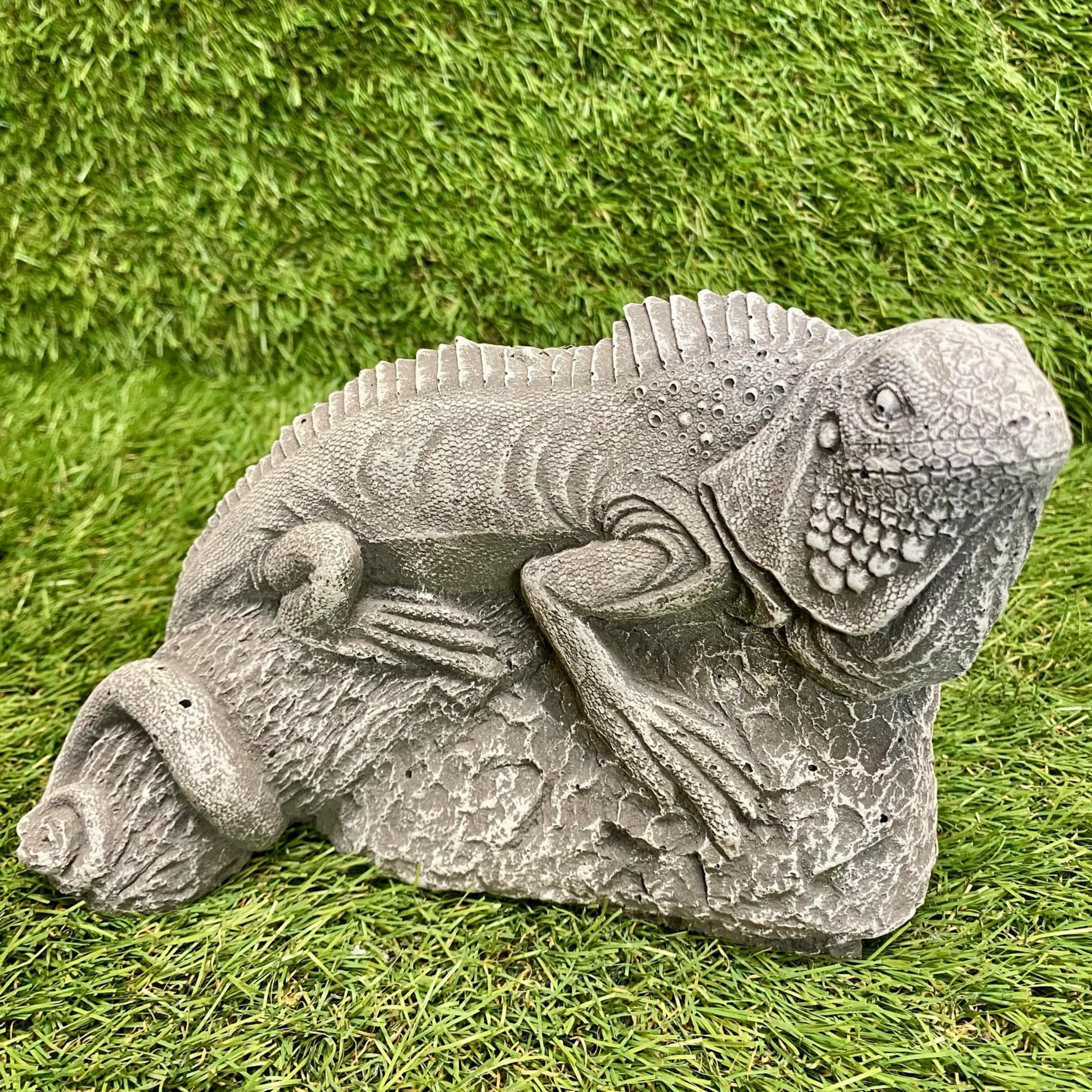 Iguana
