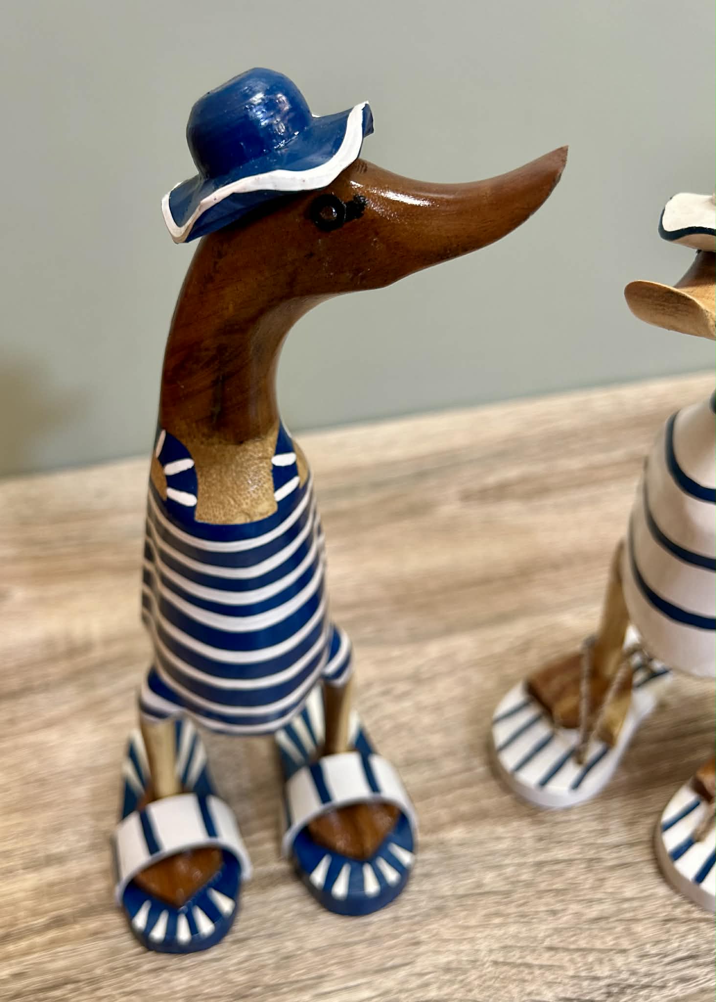 Wooden Ducks Swimsuits