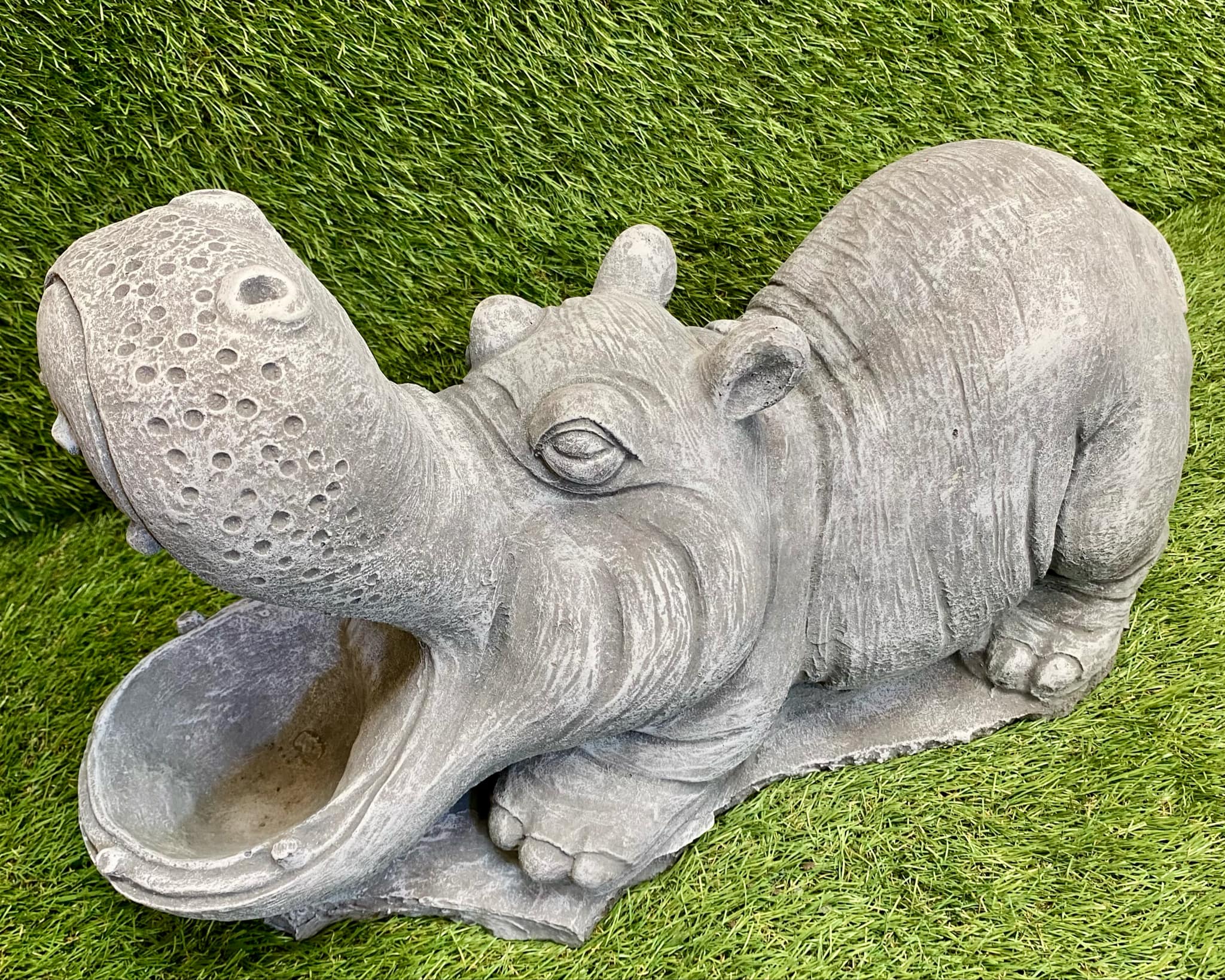 Large Hippo