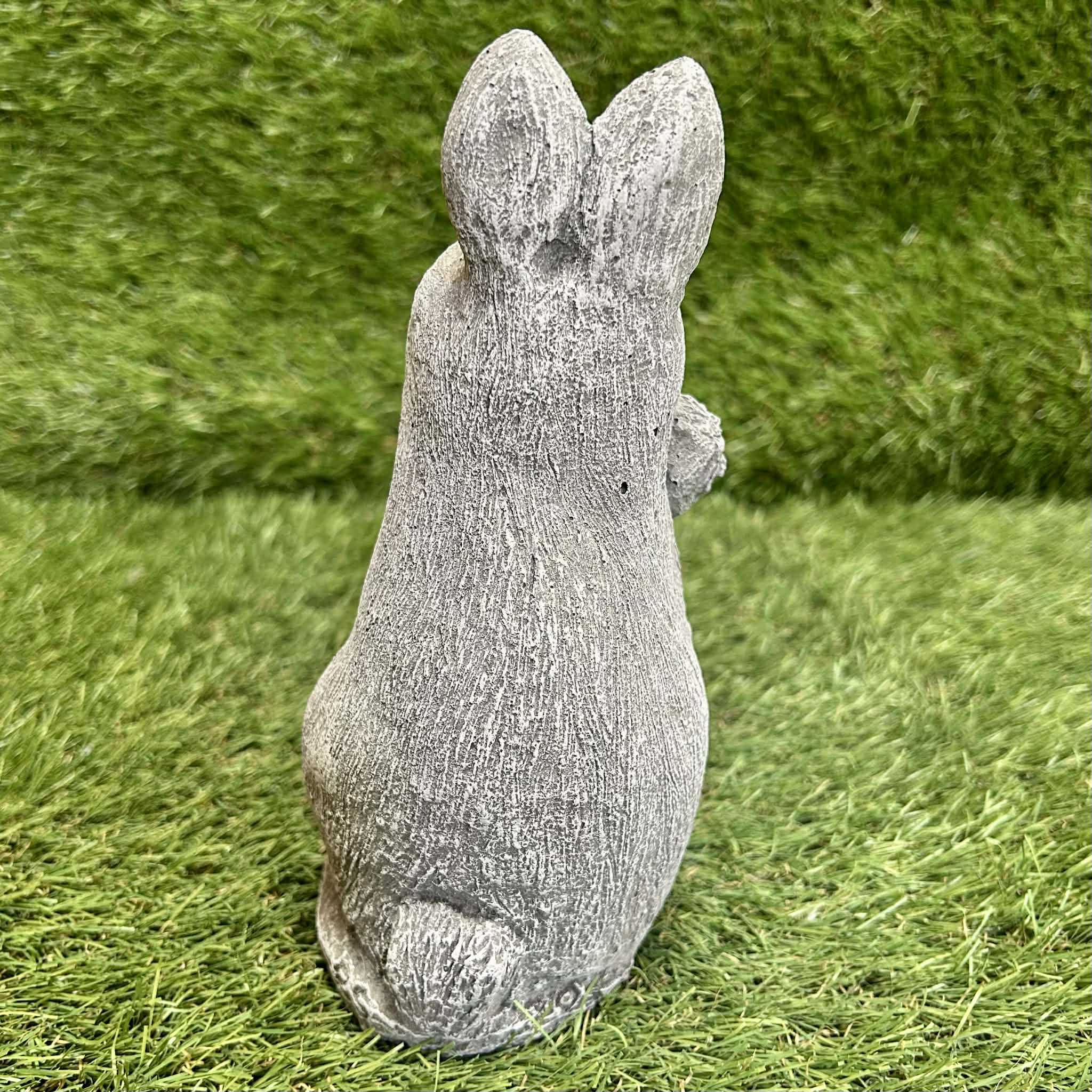 Rabbit With Carrot
