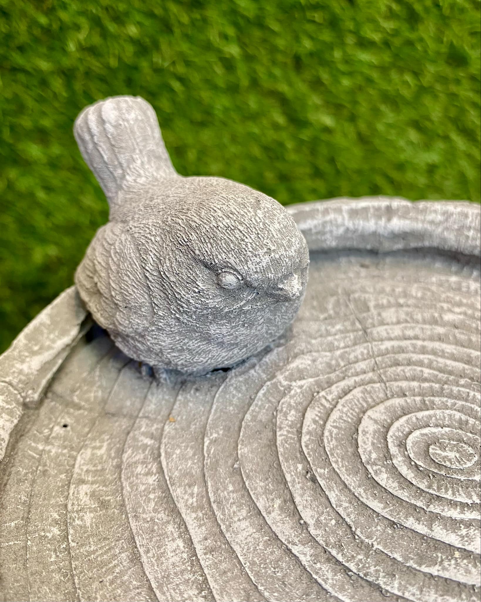 Concrete Bird Bath